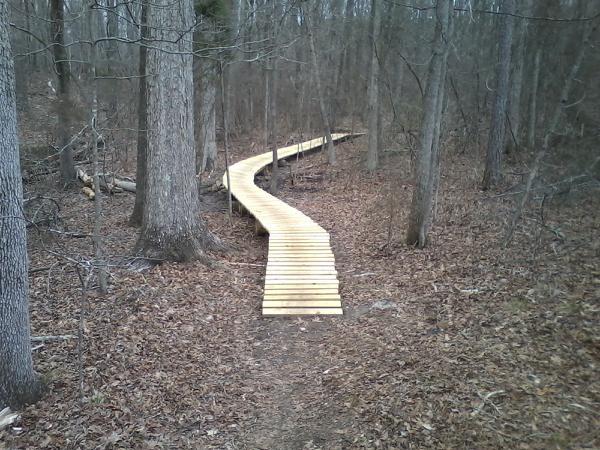 A winding wooden boardwalk path through a forest with bare trees and fallen leaves on the ground. Clinton Nature Preserve mountain bike trail.