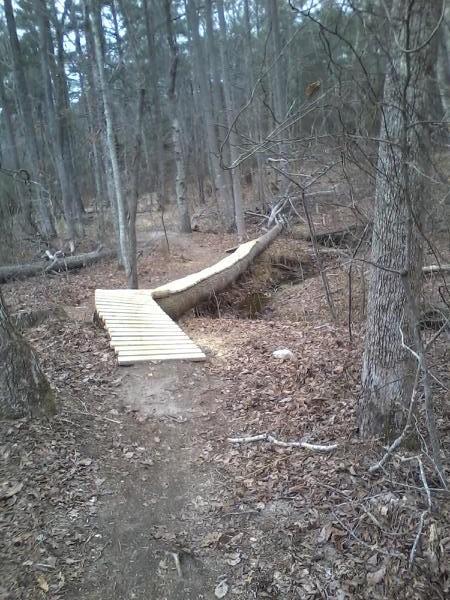 A wooden bridge made of planks crosses a small gully in a wooded area, surrounded by trees and fallen branches. The ground is covered with dry leaves, and the bridge leads toward a narrow dirt path. Clinton Nature Preserve mountain bike trail.