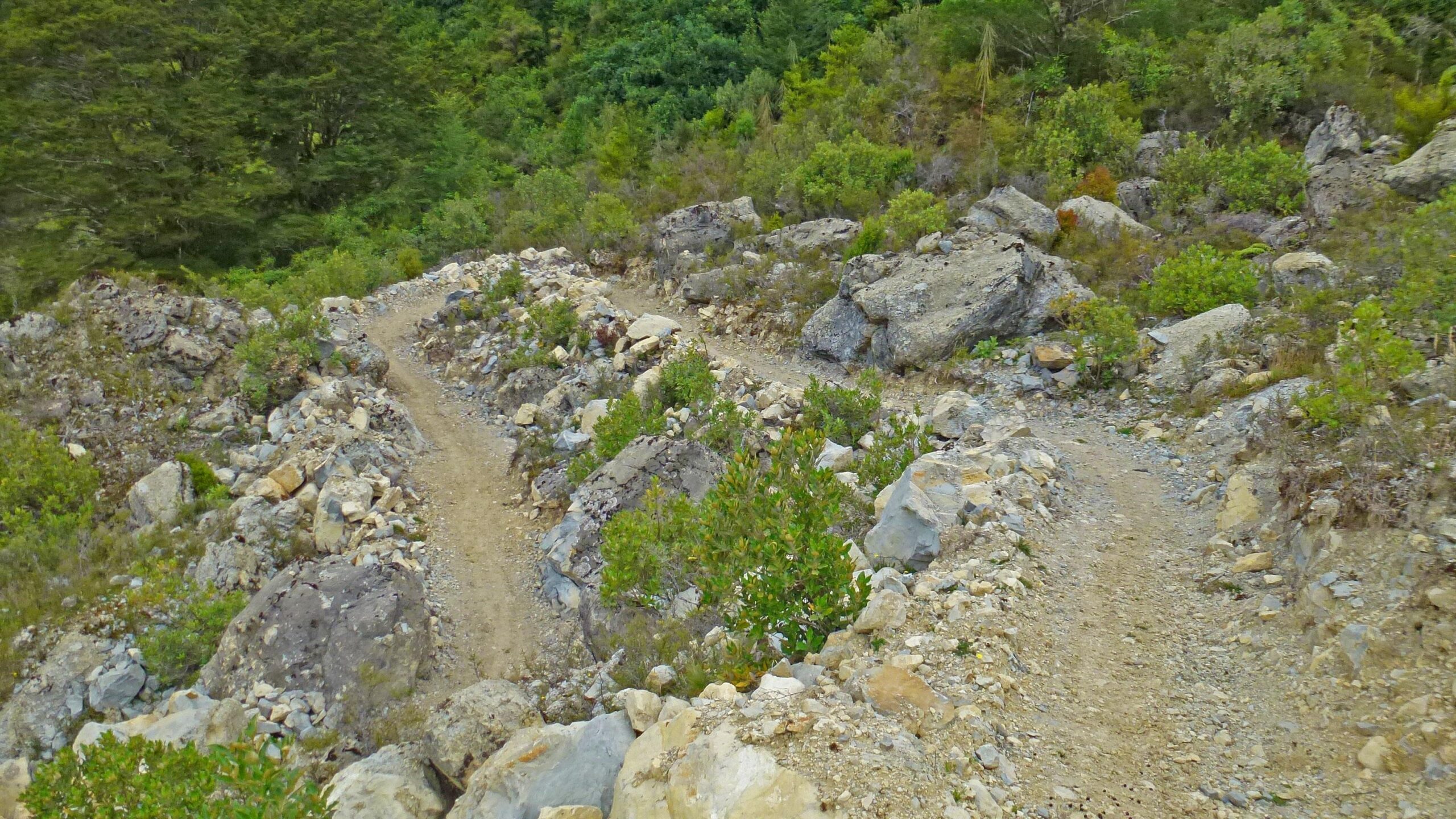 A rocky, winding dirt path cuts through a landscape of lush greenery and scattered boulders. The trail curves around stones and shrubs, leading into a forested area in the background. The Old Ghost Road mountain bike trail.