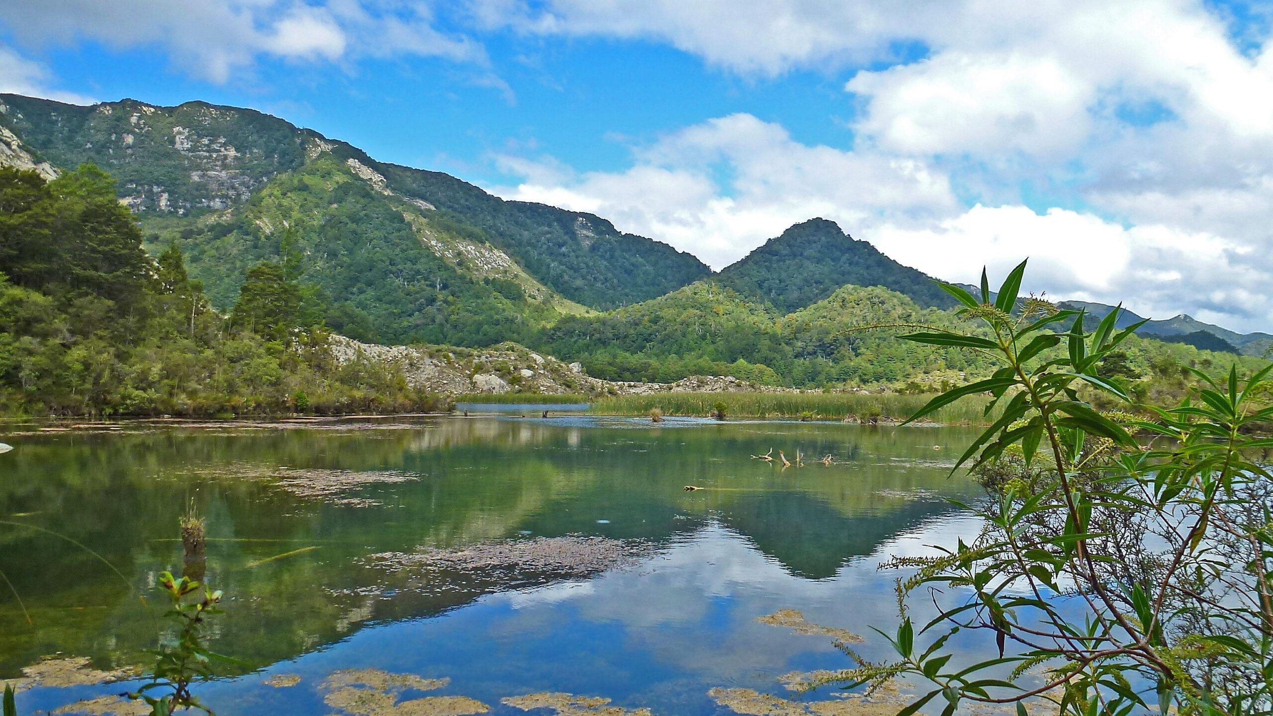 A tranquil landscape featuring a calm lake surrounded by lush green mountains and clear blue skies, with reflections of the mountains in the water and plants in the foreground. The Old Ghost Road mountain bike trail.