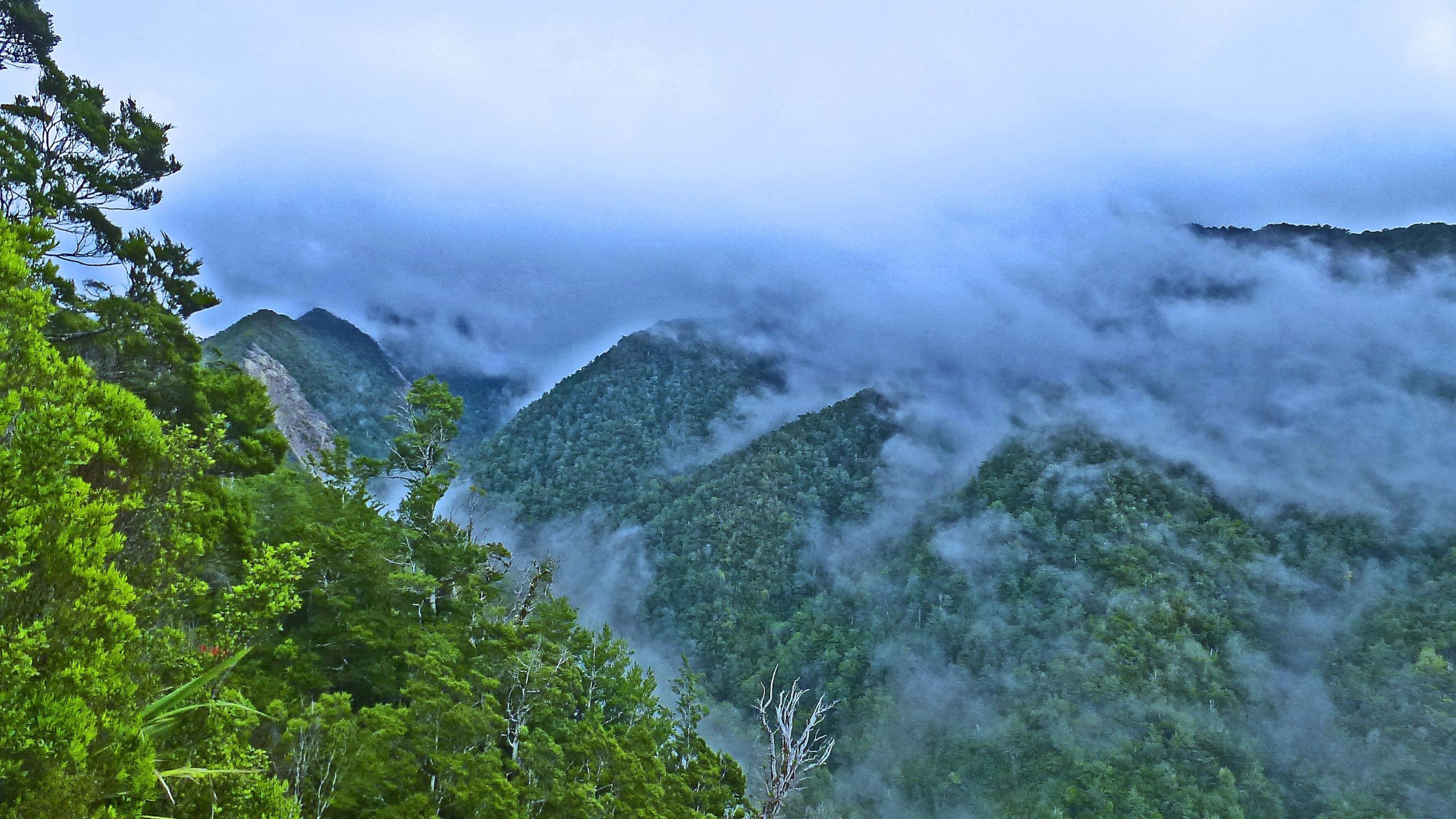 A misty mountain landscape featuring lush green hills partially shrouded in fog, with a clear blue sky peeking through the clouds. The scene conveys a tranquil and serene atmosphere, showcasing the beauty of nature. The Old Ghost Road mountain bike trail.