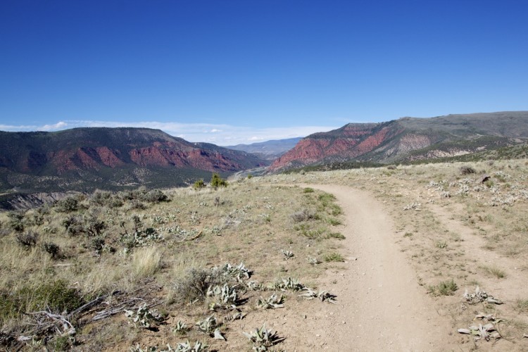 A winding dirt path leads through a rugged landscape, with vibrant red and green hills in the background under a clear blue sky. Sparse vegetation, including low shrubs and cacti, dots the foreground, suggesting a natural, arid environment.
