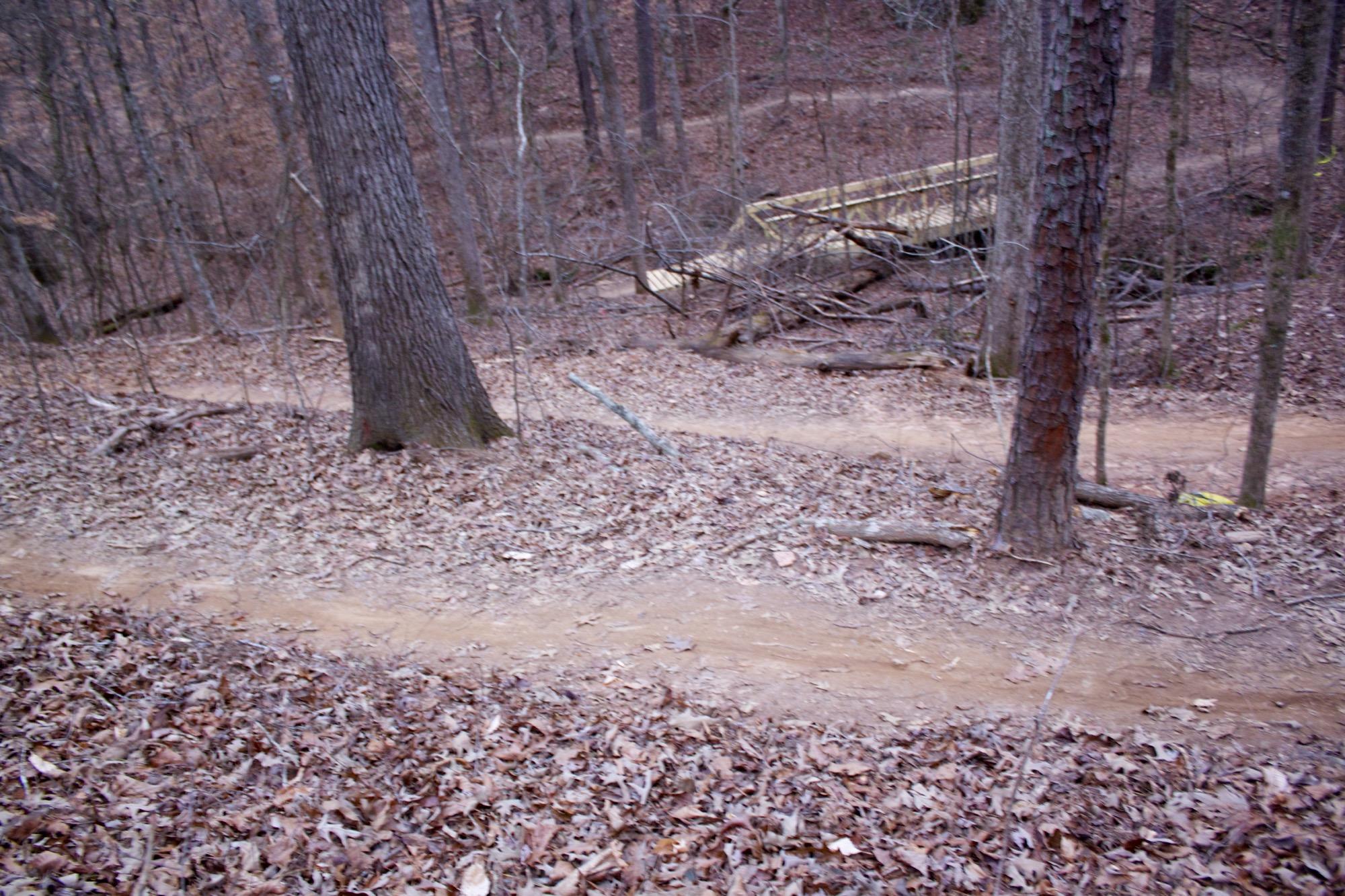 A dirt trail winding through a forested area, surrounded by trees with bare branches and a carpet of brown leaves. A wooden bridge is visible in the background, crossing a small ravine. The scene is set in a natural environment during late autumn or early winter. Explorer Trail mountain bike trail.