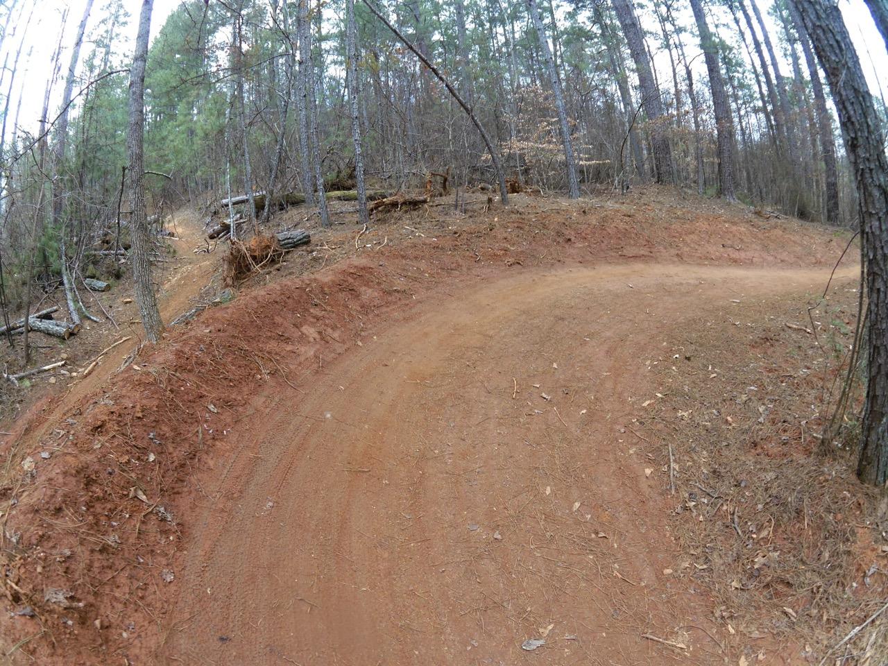 A winding dirt trail surrounded by trees, revealing a forest setting with some fallen logs and dry leaves scattered along the path. The Mill mountain bike trail.