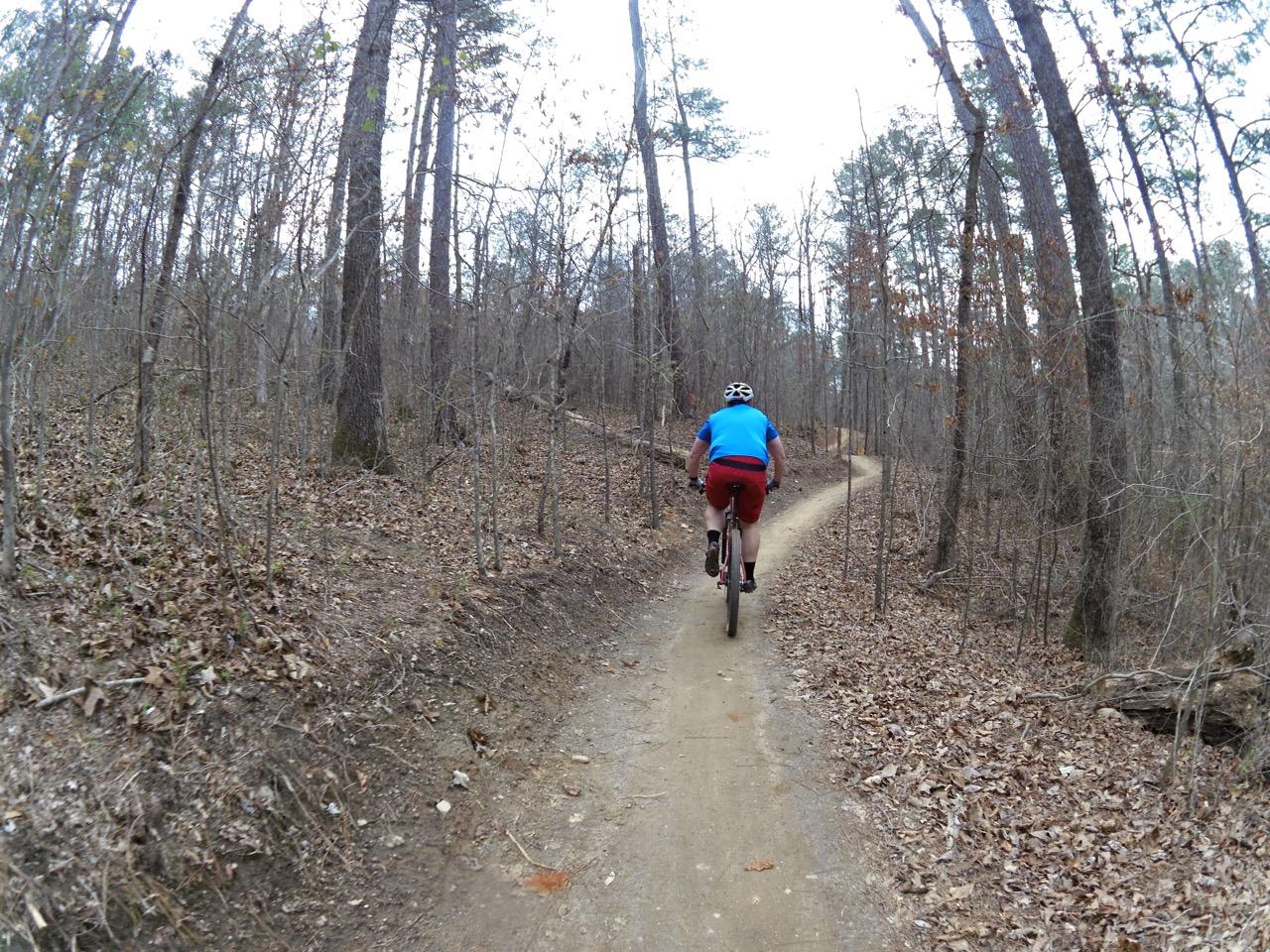A cyclist riding on a dirt trail surrounded by trees in a forested area, with fallen leaves covering the ground and a winding path ahead. The Mill mountain bike trail.