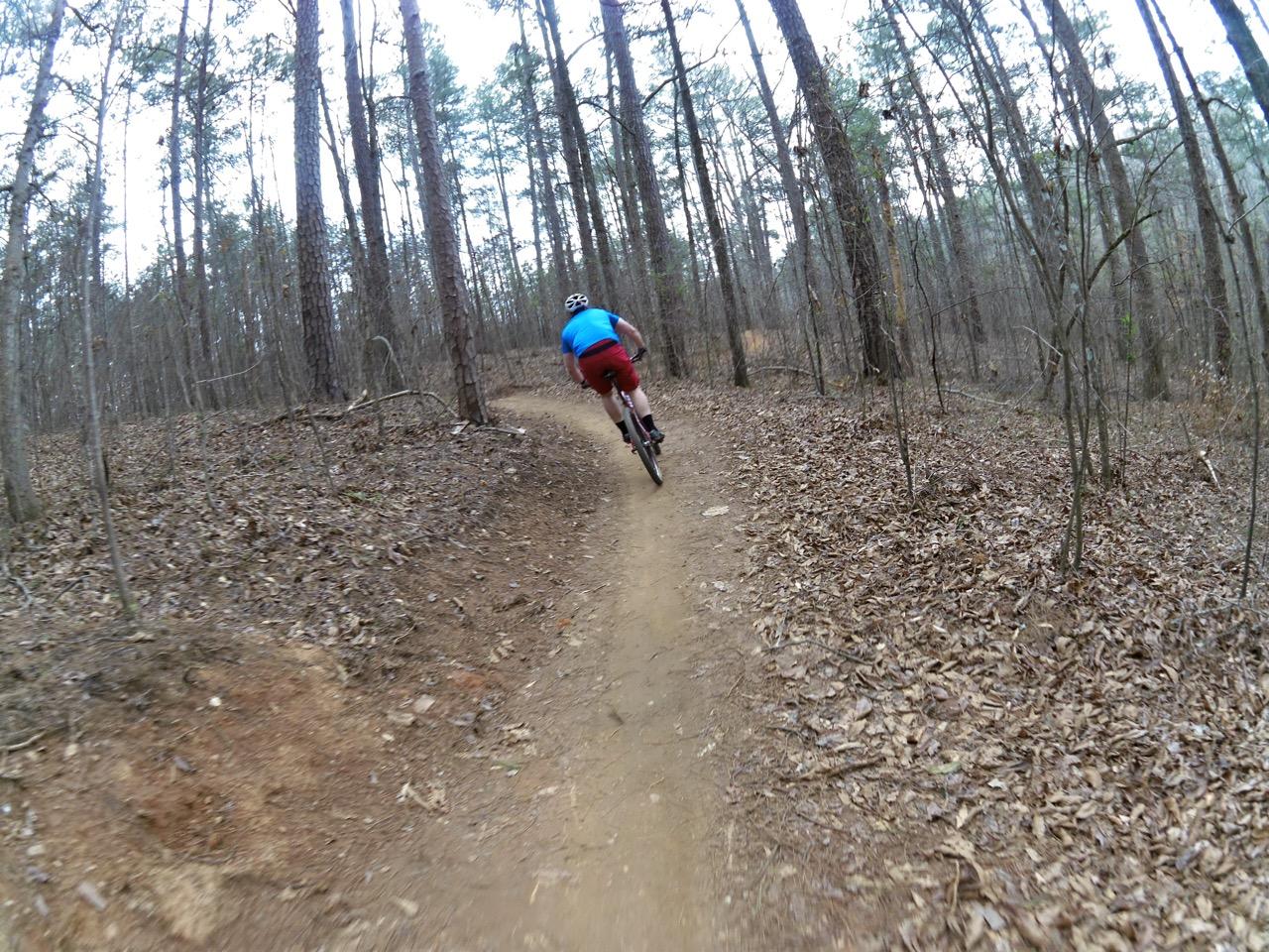A mountain biker riding along a dirt trail in a wooded area, surrounded by tall trees and fallen leaves on the ground. The cyclist is wearing a blue shirt and red shorts, seen from behind as they navigate a curve in the path. The Mill mountain bike trail.
