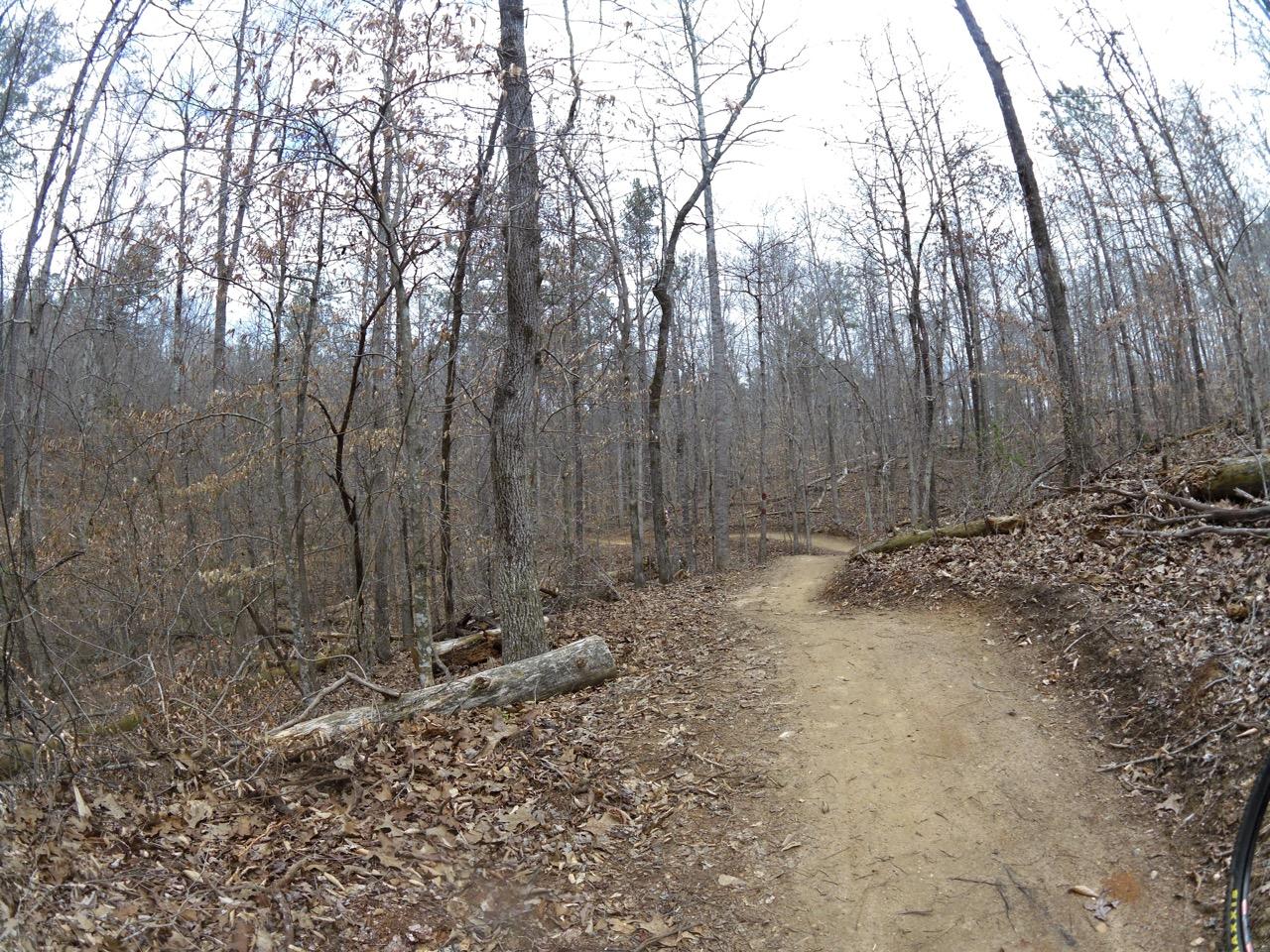 A winding dirt path through a forest with bare trees and scattered leaves, indicating a late autumn or early winter setting. The scene captures a serene, natural environment with a clear sky. The Mill mountain bike trail.