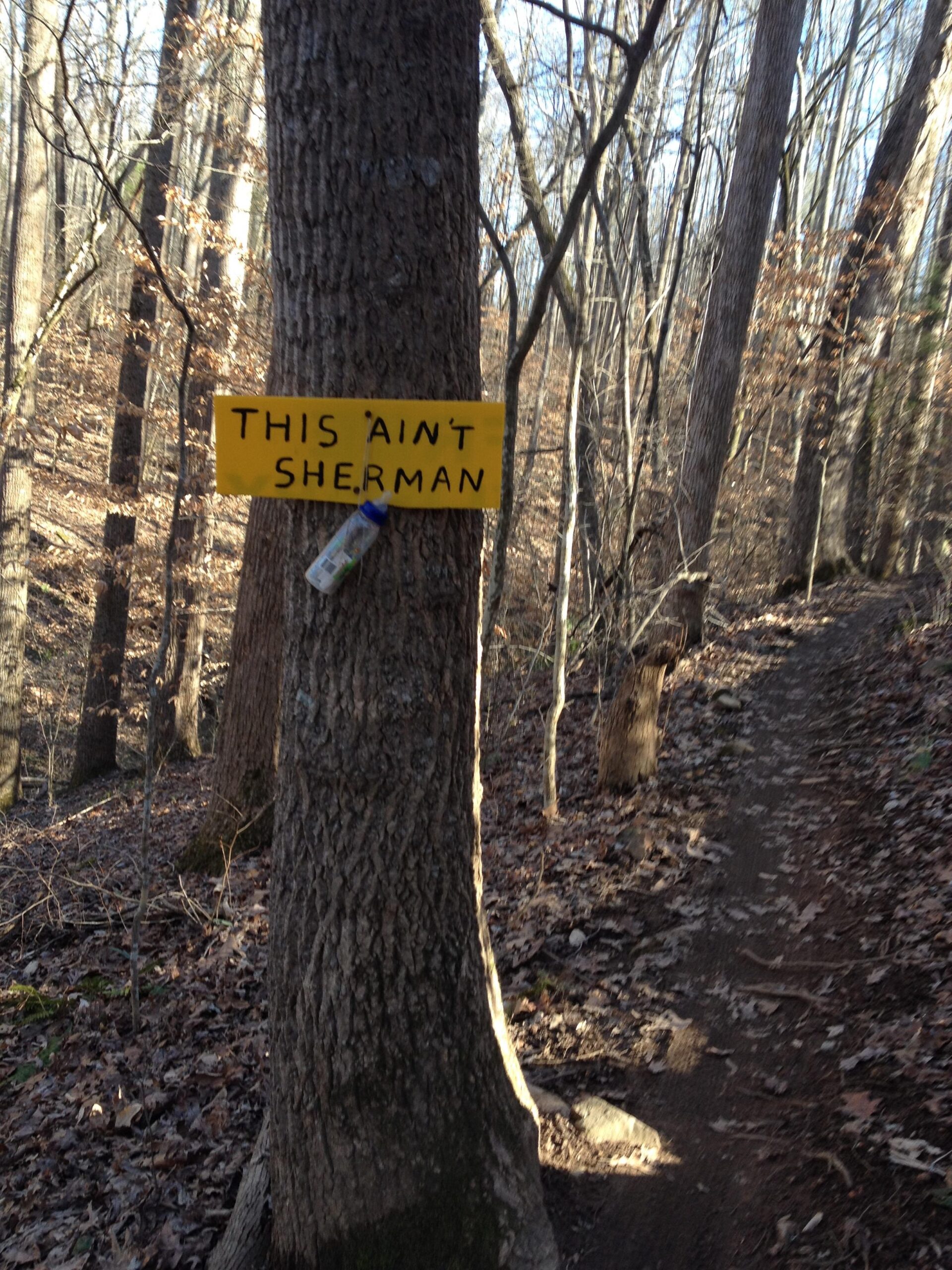A yellow sign with the text "THIS AIN'T SHERMAN" affixed to a tree in a wooded area. The scene features a dirt path surrounded by bare trees and fallen leaves on the ground, indicating a natural landscape. Rocky River Trail mountain bike trail.