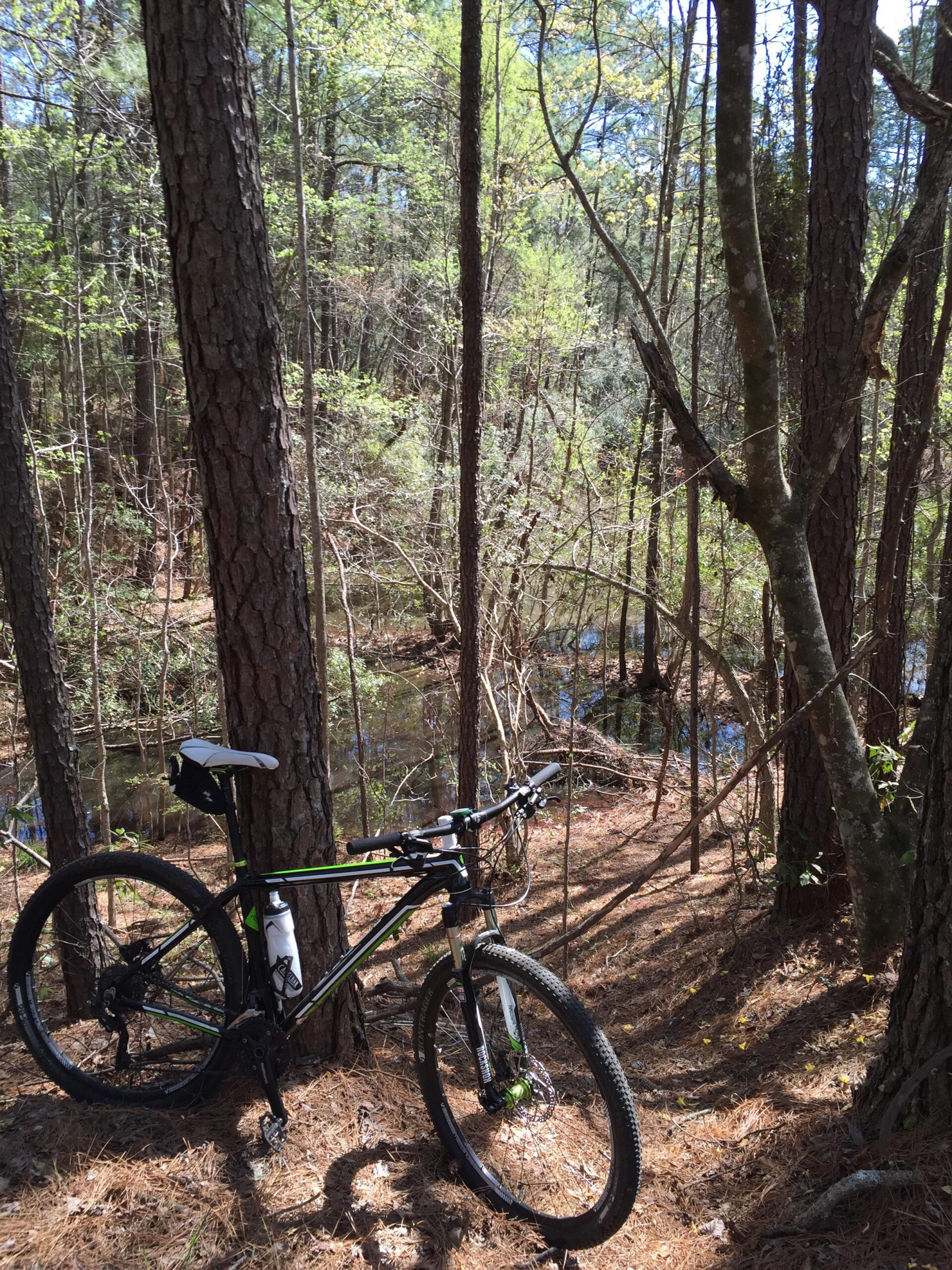 Motobecane NightTrain Bullet: A mountain bike rests against a tree in a dense forest, with tall pine trees and underbrush surrounding it. A small body of water is visible in the background, and sunlight filters through the leaves, creating a peaceful natural scene.