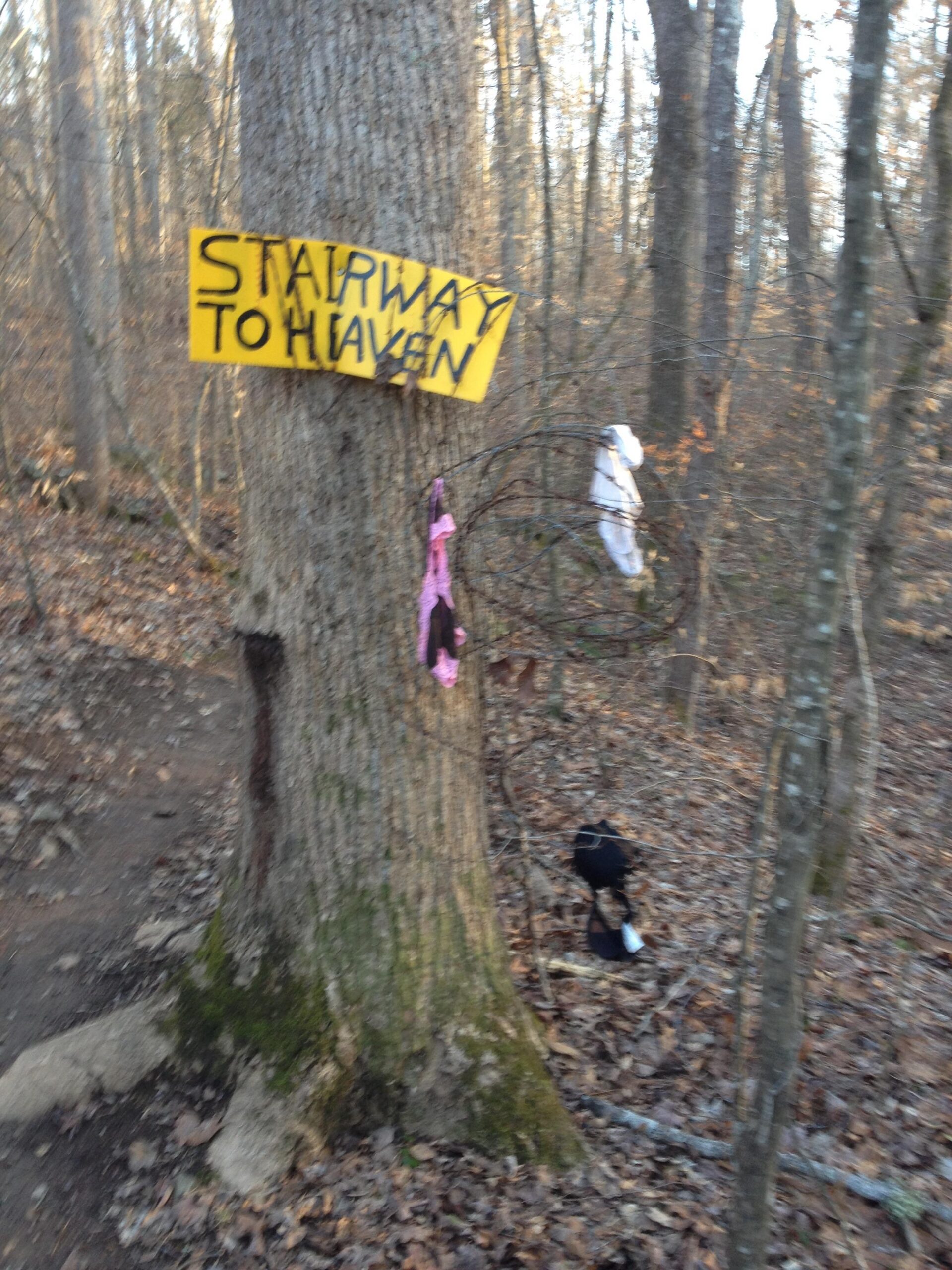 A tree in a wooded area displays a bright yellow sign reading "STAIRWAY TO HEAVEN." Nearby, various articles of clothing, including a pink item, are hung on branches, while fallen leaves cover the forest floor. Rocky River Trail mountain bike trail.
