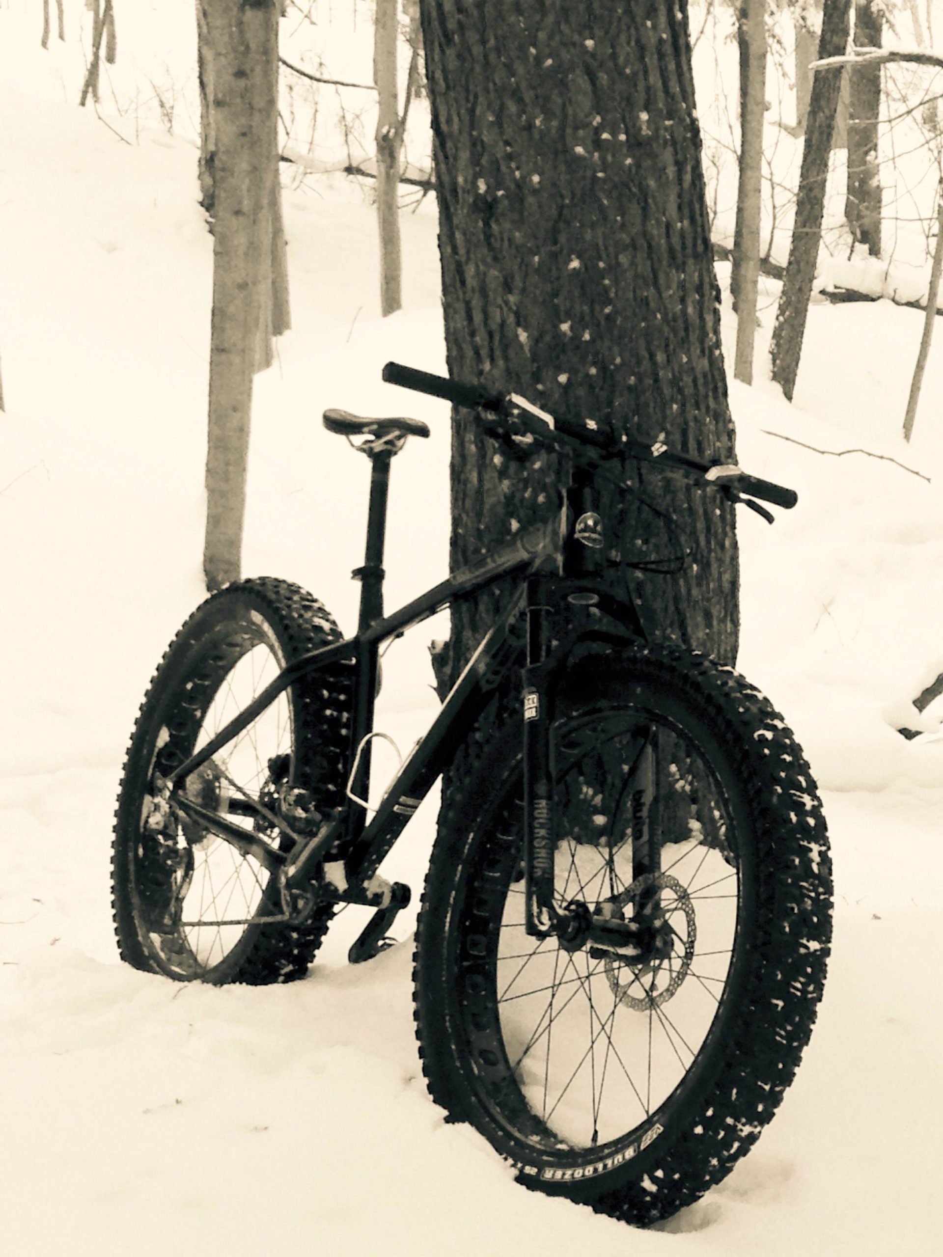 A fat bike with wide tires rests against a tree in a snowy forest, showcasing a wintry scene. The image is styled in black and white, emphasizing the snowy landscape and the contrast between the bike and the tree trunk. Black Oak mountain bike trail.