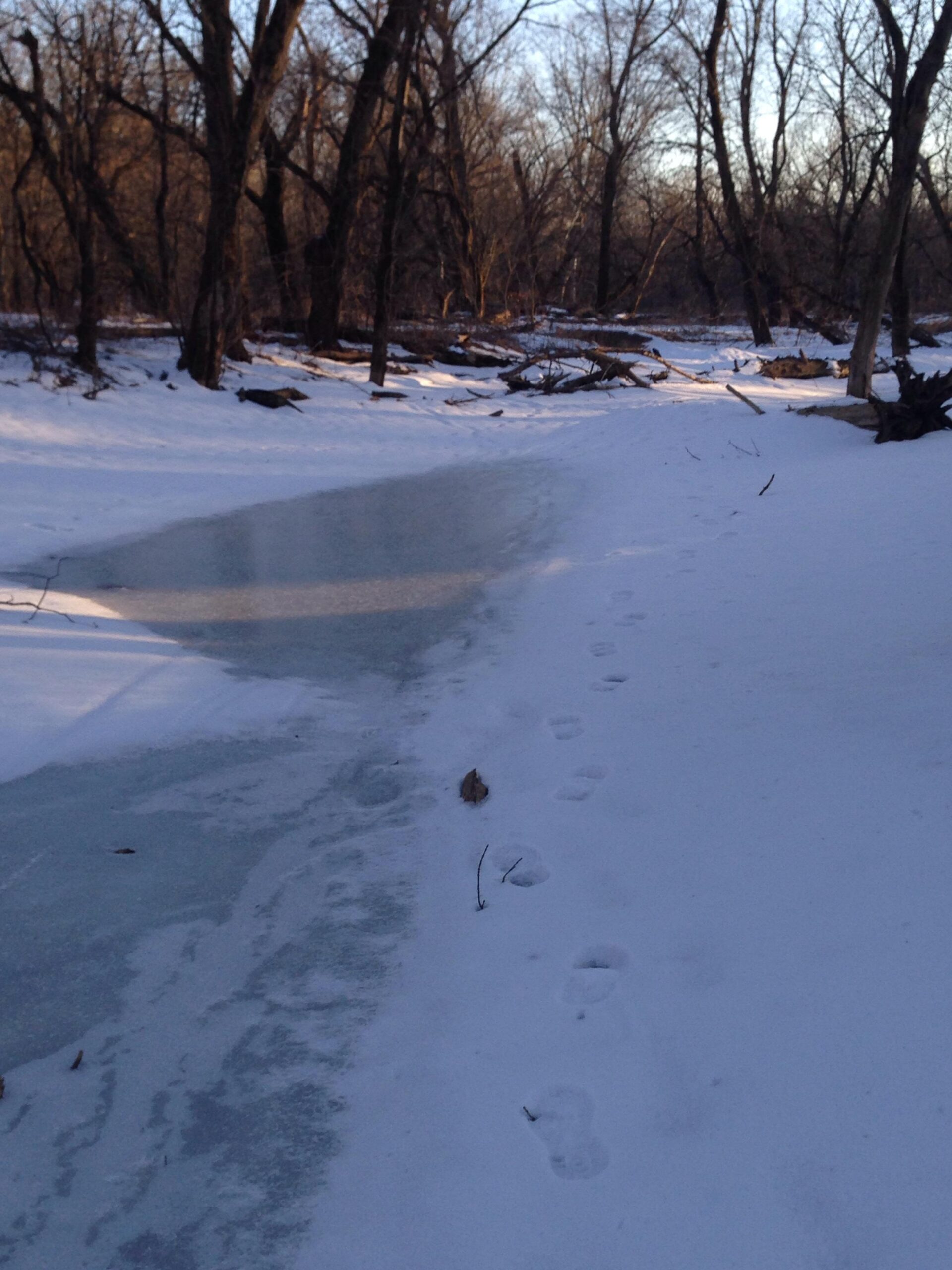 Cannondale F700: A winter landscape featuring a snowy path beside a partially frozen stream. Footprints trail along the snow, leading toward the water's edge, which reflects the soft light of the setting sun. Surrounding the scene are bare trees and scattered branches, creating a serene, natural environment.