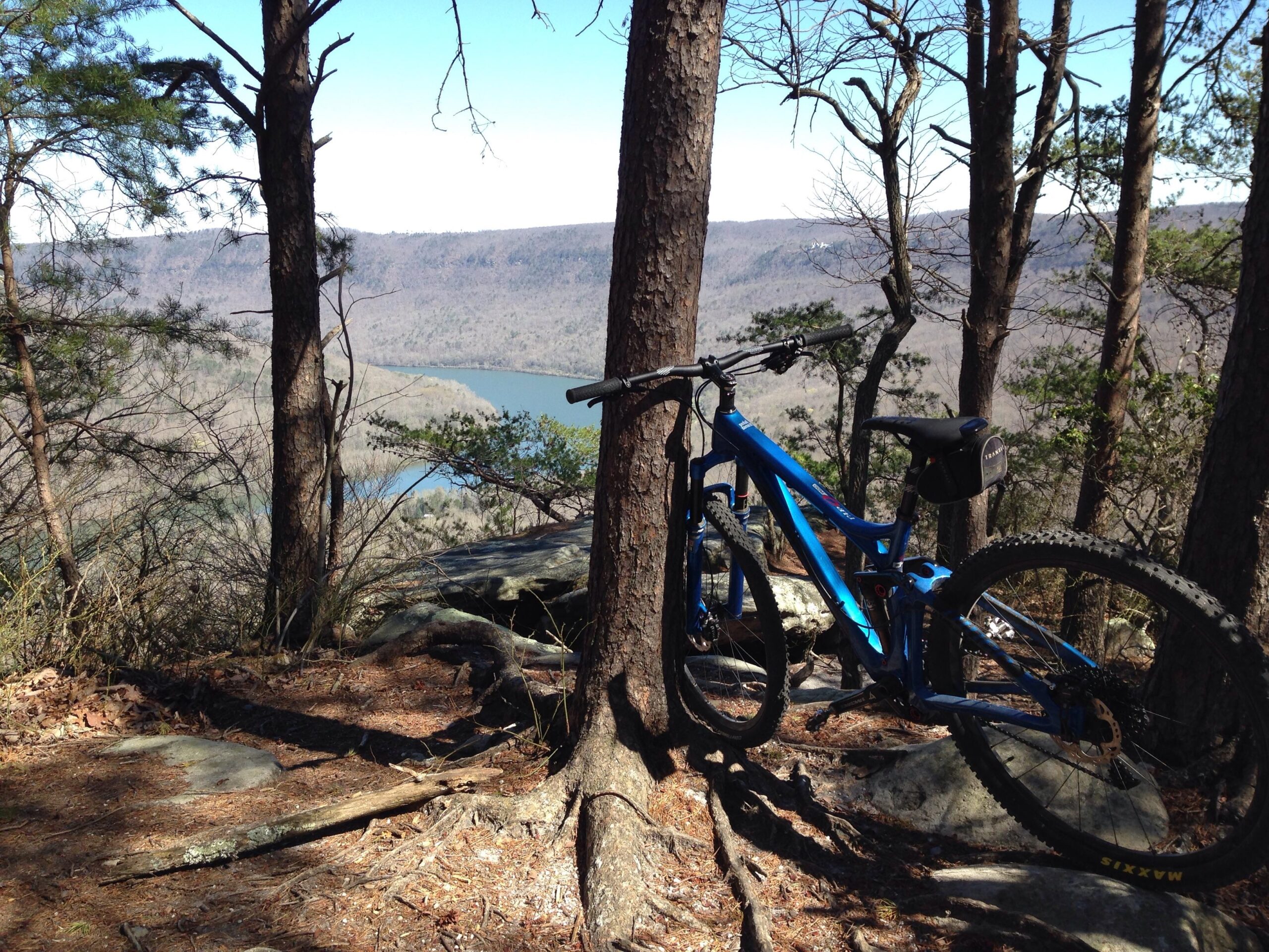 A blue mountain bike leaning against a tree, with a scenic view of a river and hills in the background. The area is surrounded by trees, and the ground is covered with pine needles and rocks, indicating a natural outdoor setting. Clear blue sky overhead. Raccoon Mountain Trail Network mountain bike trail.