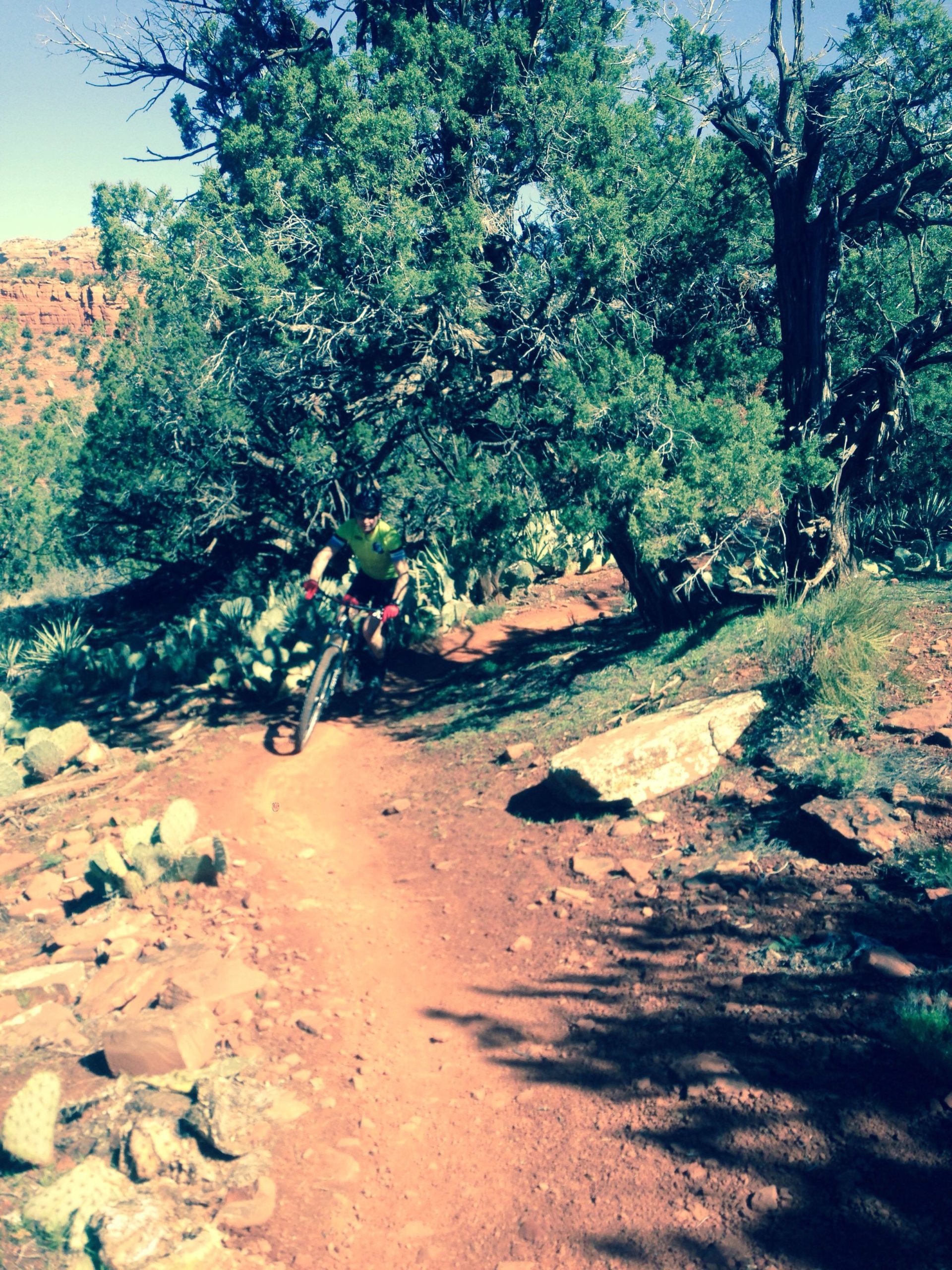 A mountain biker navigating a rocky trail surrounded by trees and cacti, under a clear blue sky. The path is characterized by reddish dirt and scattered stones, suggesting an outdoor adventure in a natural setting. Mescal Trail mountain bike trail.