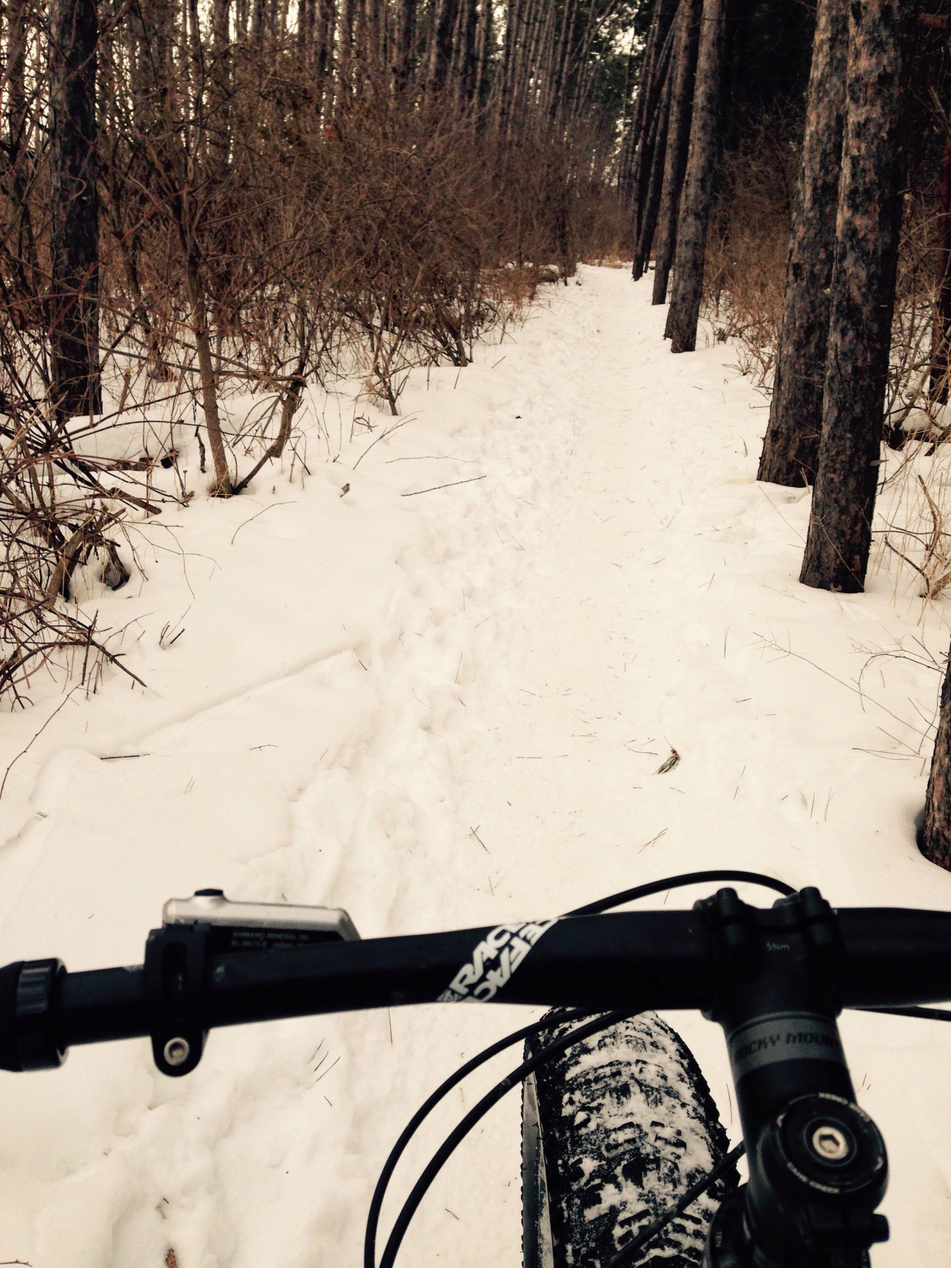 A snowy bike trail surrounded by tall pine trees, as viewed from the handlebars of a mountain bike. The path is partially covered in snow, with visible tire tracks indicating recent travel. Coulson's Hill mountain bike trail.