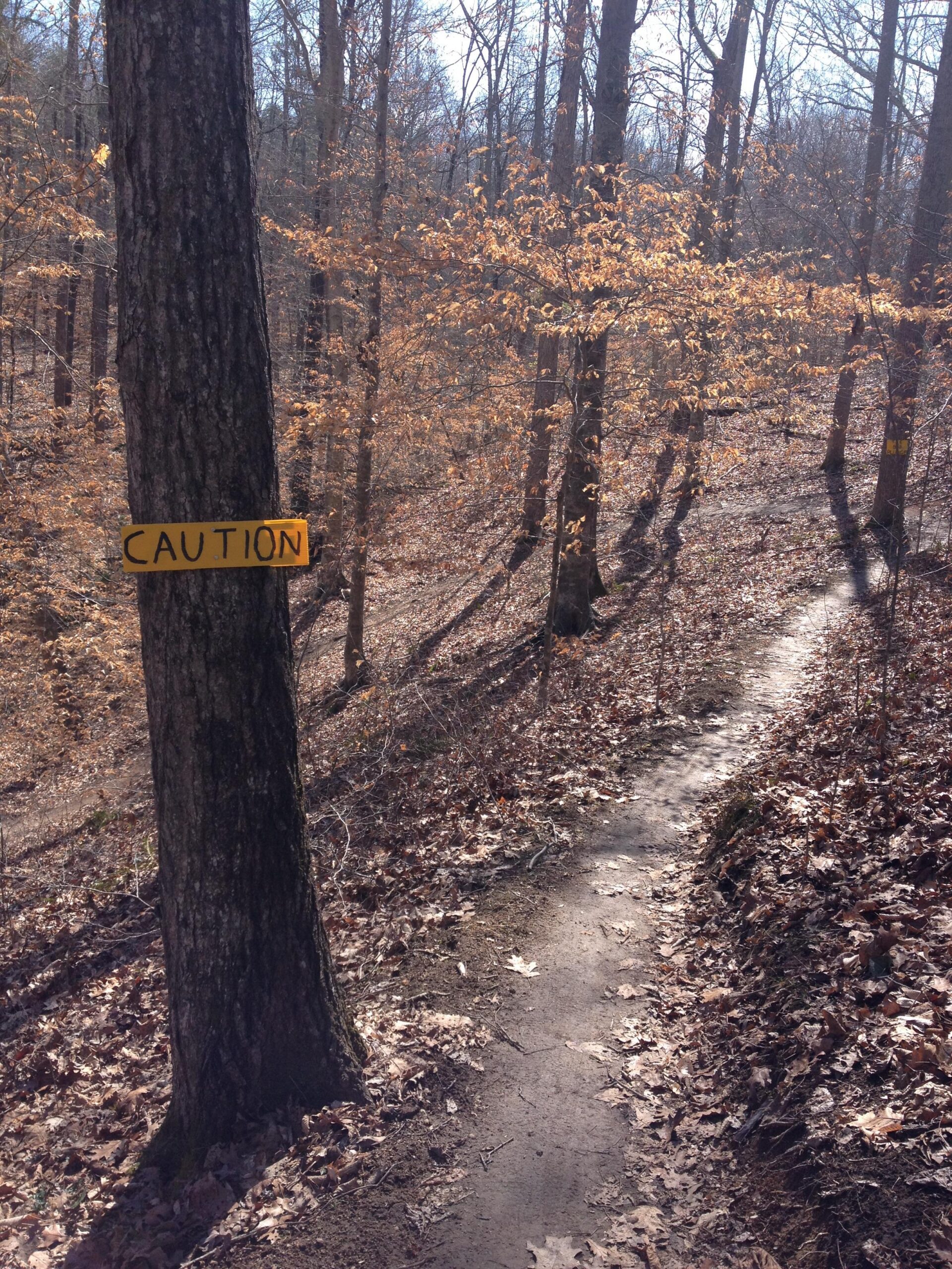 A dirt trail winding through a wooded area during late autumn, with a tree on the left displaying a yellow sign that reads "CAUTION." The ground is covered with fallen leaves, and the bare trees create a serene, natural setting. Rocky River Trail mountain bike trail.