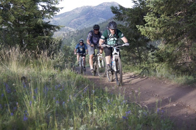 Three mountain bikers riding along a dirt trail surrounded by tall grass and wildflowers, with rolling hills and forests in the background. The scene captures the essence of outdoor adventure and activity.