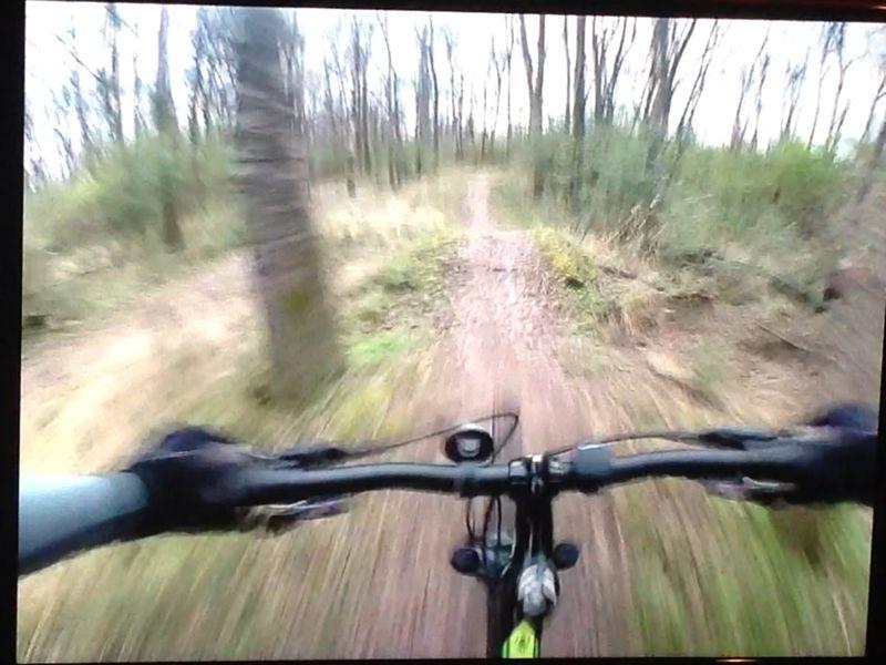 "View from a mountain bike as it rides swiftly along a dirt trail surrounded by trees, capturing the sense of motion and adventure in a natural setting." Wessington Warrior Trail mountain bike trail.