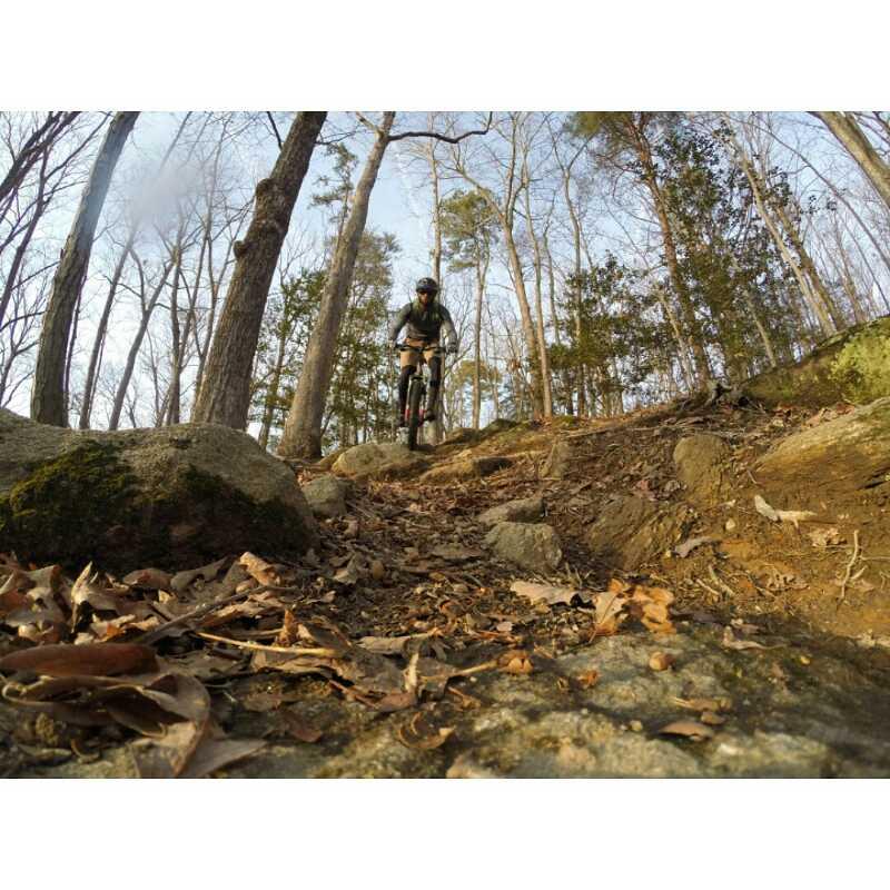 A mountain biker navigating a rocky trail in a wooded area, surrounded by trees and fallen leaves, with a clear sky in the background. The perspective captures the rider as they approach a rocky section of the path. Powhite Park mountain bike trail.