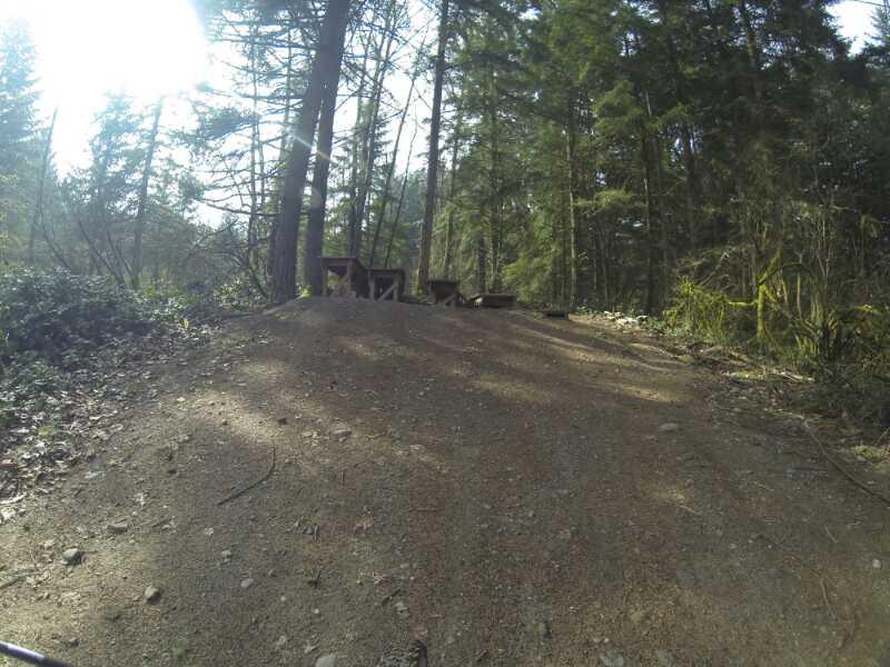A gravel dirt jump ramp in a wooded area surrounded by tall trees and sunlight filtering through the branches. Swan Creek mountain bike trail.