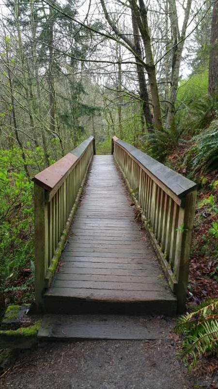 A wooden bridge leads through a lush, green forest, surrounded by tall trees and ferns. The pathway is straight and flanked by wooden rails, inviting walkers into the serene natural landscape. Dash Point State Park mountain bike trail.