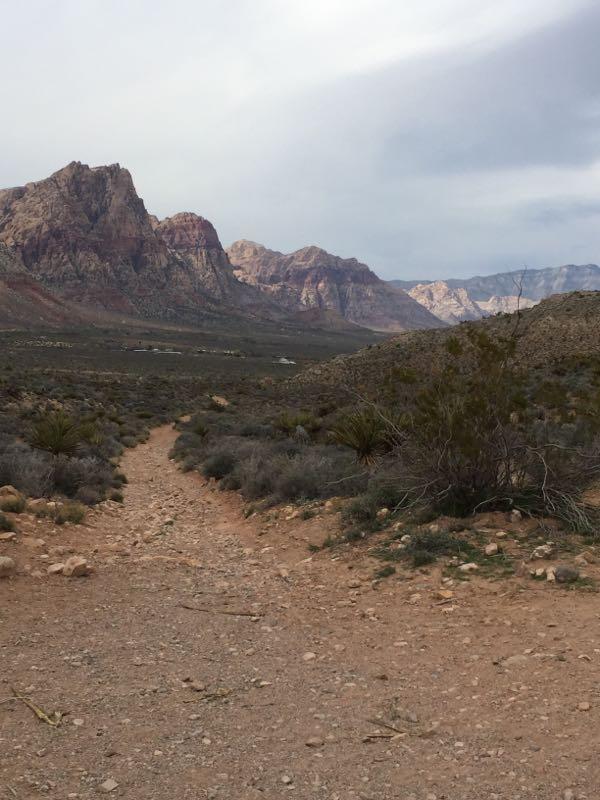 A rugged dirt path leading through a desert landscape, flanked by sparse vegetation and shrubs. In the background, towering mountains with varying shades of red and brown rise against a cloudy sky. The scene captures the serene beauty of a natural environment, inviting exploration. Blue Diamond mountain bike trail.