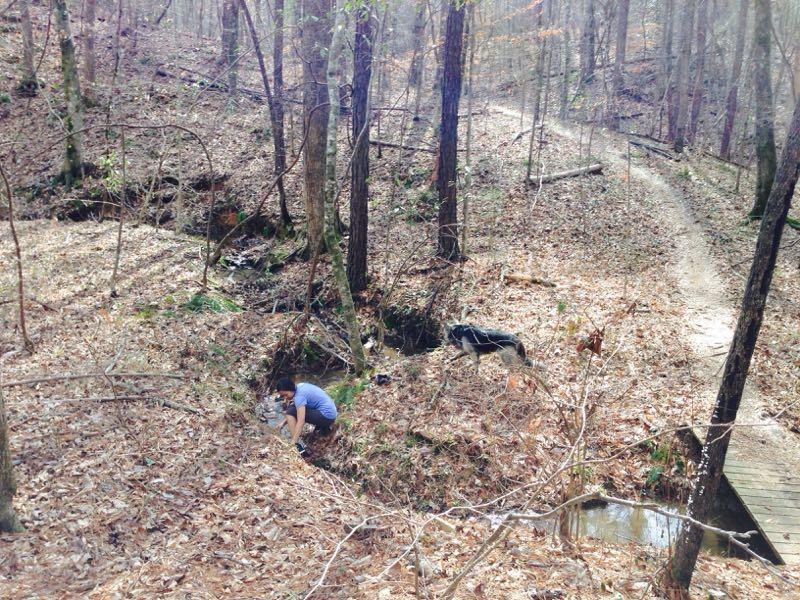 A person crouches near a small stream in a wooded area, surrounded by trees and fallen leaves. A dog is nearby, while a path meanders in the background, leading through the forest. Swayback Bridge Trail mountain bike trail.