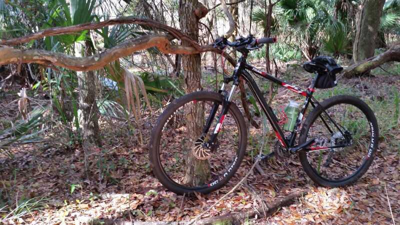 A mountain bike leaning against a tree in a wooded area, surrounded by green foliage and fallen leaves. A water bottle is attached to the bike, and the ground is covered with dry leaves. Moses Creek mountain bike trail.