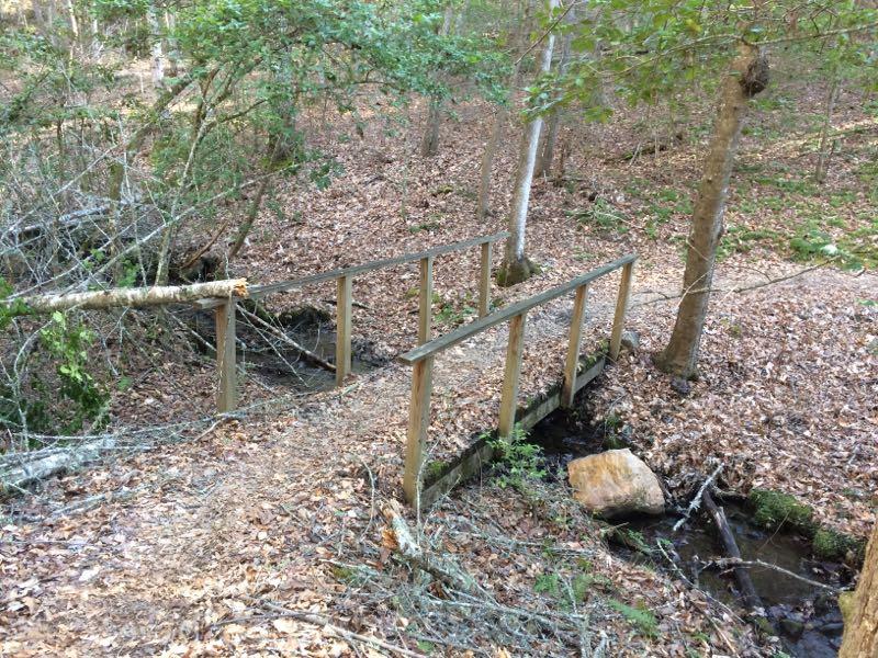 A wooden bridge crossing a small stream in a wooded area, surrounded by fallen leaves and trees. Tsali Recreation Area mountain bike trail.
