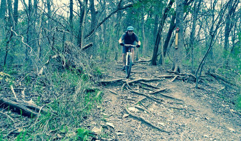 A cyclist riding a mountain bike on a dirt trail surrounded by trees and underbrush, with visible roots and rocks on the path. The scene captures the rugged terrain typical of a forested biking trail. Cameron Park mountain bike trail.