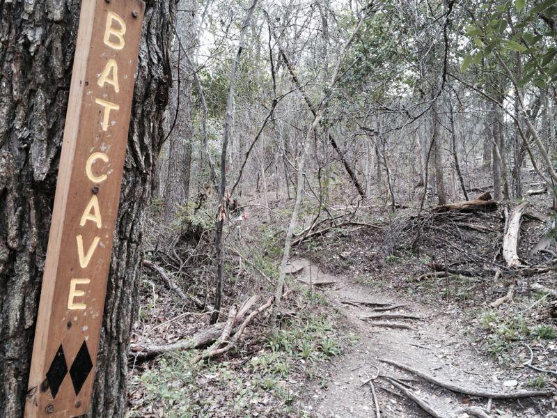 A wooden sign reading "BAT CAVE" is attached to a tree, marking the beginning of a narrow, winding trail in a wooded area. The path is lined with roots and surrounded by dense foliage, suggesting a natural and rugged environment. Cameron Park mountain bike trail.