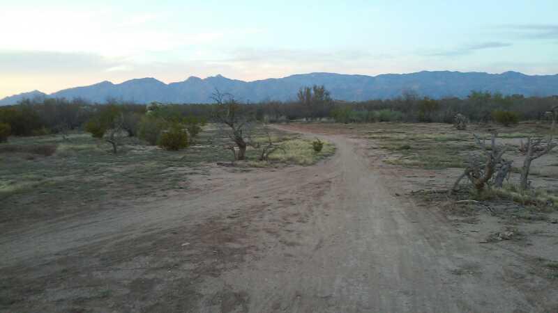A dirt path winding through a sparse desert landscape with shrubs and small trees, leading toward blue mountains in the background under a soft evening sky. Fantasy Island mountain bike trail.
