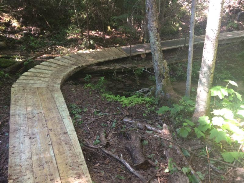 A curved wooden boardwalk winding through a forested area, surrounded by trees and greenery, with a small stream visible underneath the boardwalk. Morgan Creek Loop mountain bike trail.