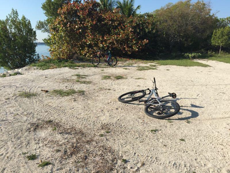 Two mountain bikes are parked on a sandy area near a body of water, surrounded by green vegetation. One bike is lying on its side in the foreground, while the second bike is more distant in the background. The scene is sunny and conveys a sense of outdoor adventure. Oleta River State Park mountain bike trail.