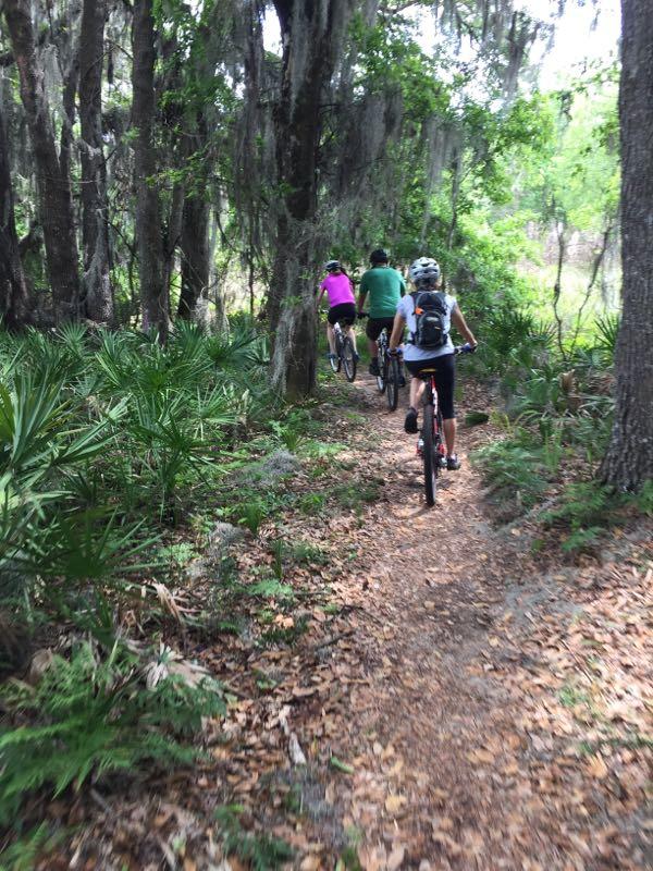 Three people riding mountain bikes along a narrow, leaf-covered trail surrounded by lush greenery and trees with Spanish moss. The scene captures a vibrant outdoor setting, indicating an active and adventurous atmosphere. Alafia River State Park mountain bike trail.