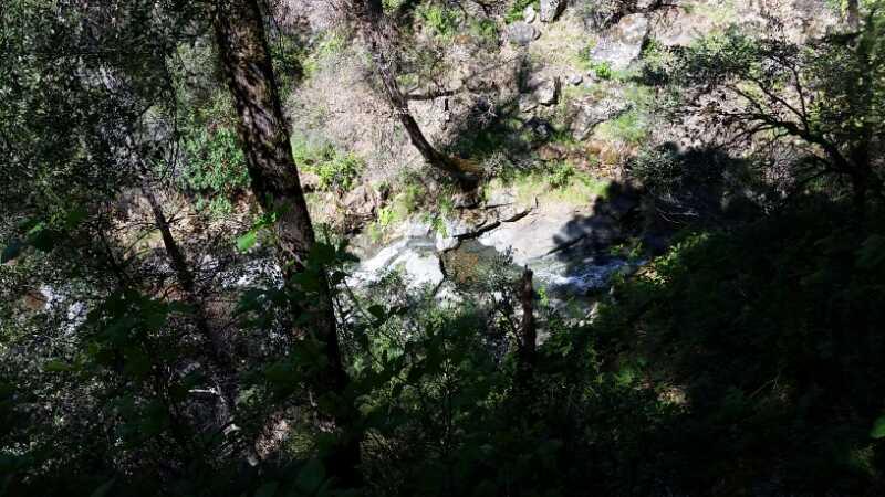 A lush, green forest scene showing a flowing river partially obscured by trees and rocks. Sunlight filters through the leaves, casting dappled shadows on the water. Packers Bay mountain bike trail.