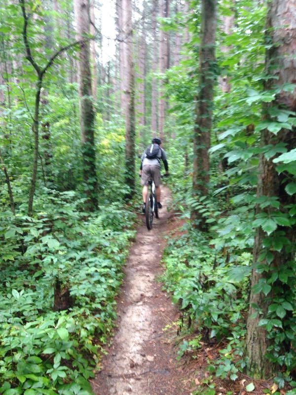 A mountain biker riding on a narrow dirt trail through a lush green forest, surrounded by tall trees and dense foliage. Yankee Springs mountain bike trail.