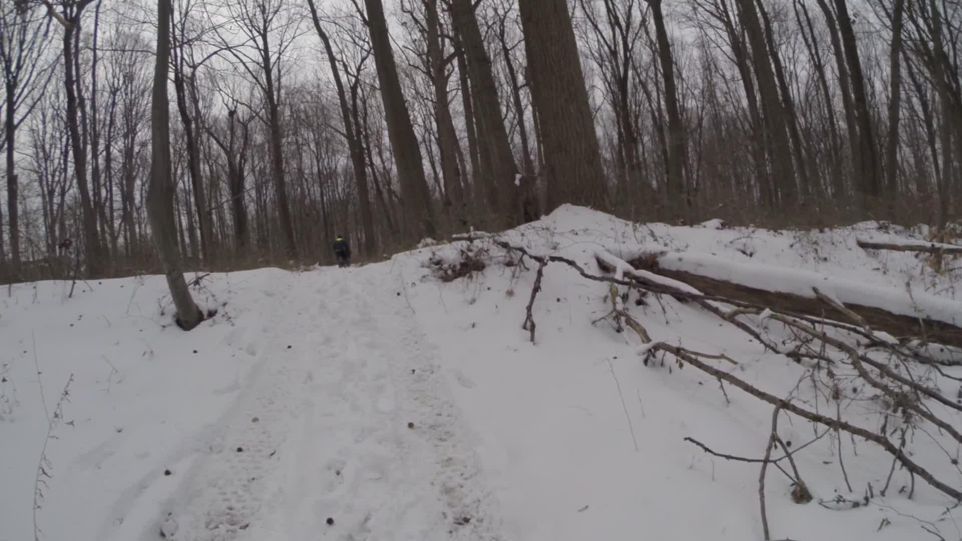 A snowy trail winding through a forest during winter, with bare trees on either side. In the distance, a person wearing a bright yellow hat is walking up a snow-covered hill, surrounded by fallen branches and a peaceful, wintry landscape. Allaire State Park mountain bike trail.