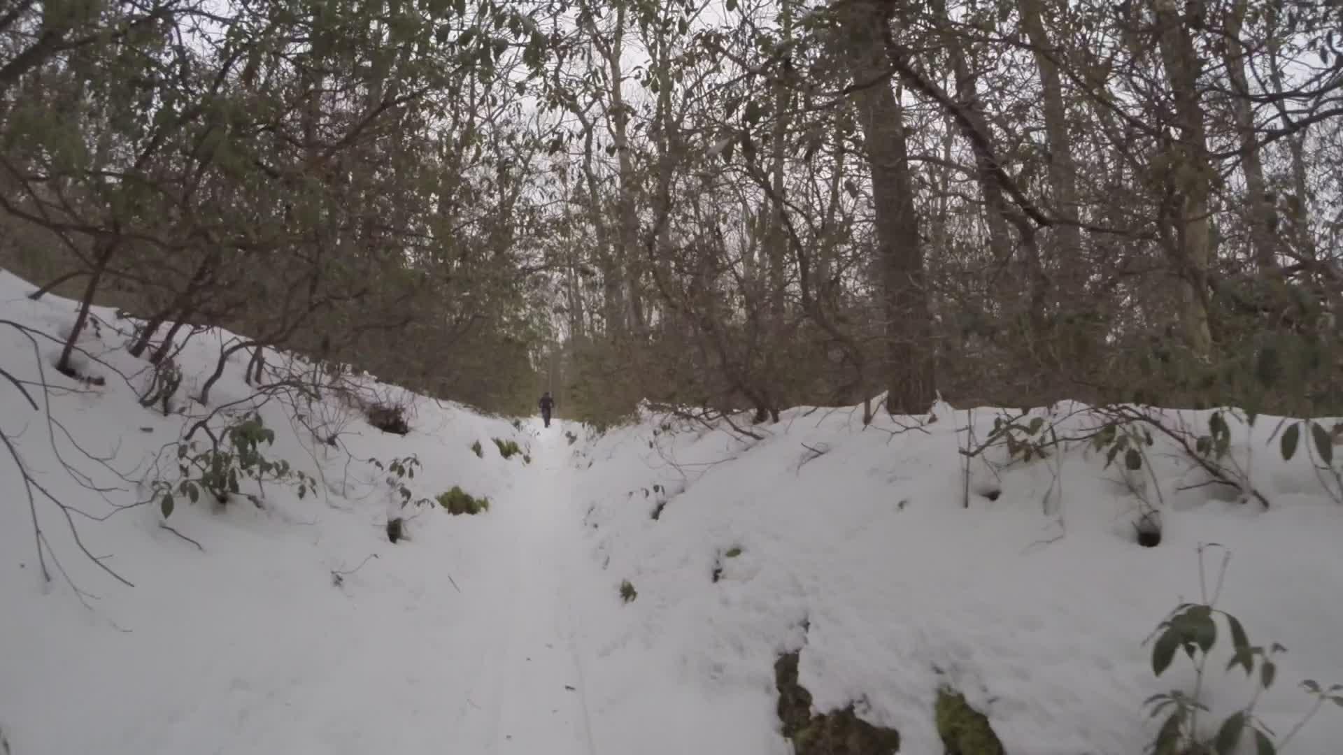 A narrow snow-covered trail winding through a forest, flanked by trees and shrubs. A lone person is walking in the distance, surrounded by a landscape of white snow and muted winter colors. Allaire State Park mountain bike trail.
