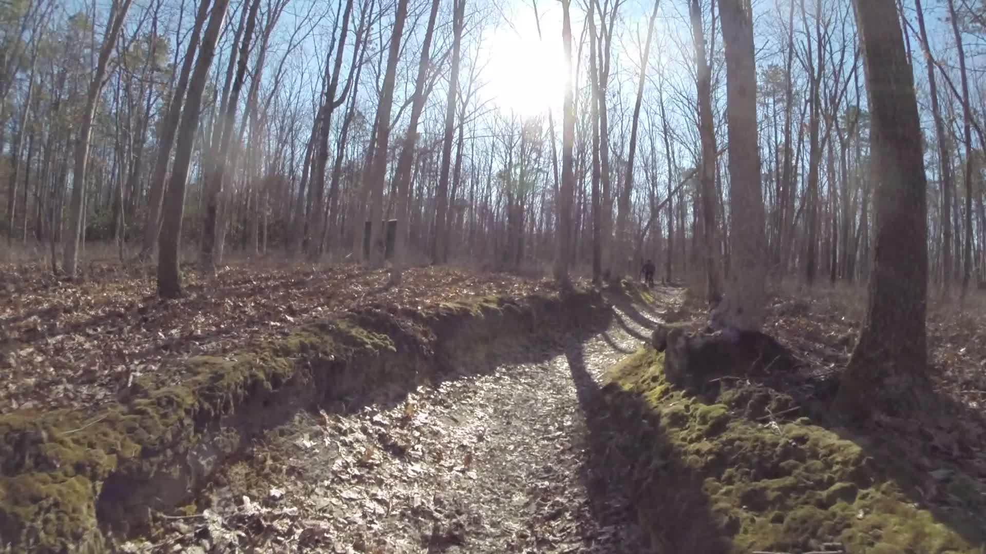 A sunlit forest path lined with bare trees, showcasing a clear blue sky. The ground is a mix of dirt, moss, and fallen leaves, leading into the distance where a person can be seen walking along the trail. Allaire State Park mountain bike trail.