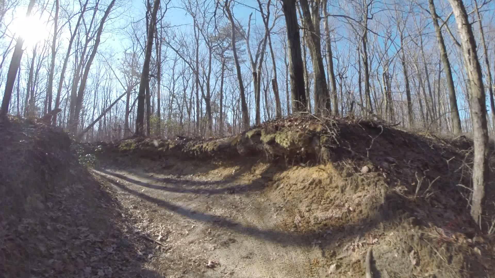 A dirt pathway winding through a forest with bare trees, showing sunlight filtering through the branches. The ground is uneven, with exposed earth and leaf litter along the edges. Allaire State Park mountain bike trail.