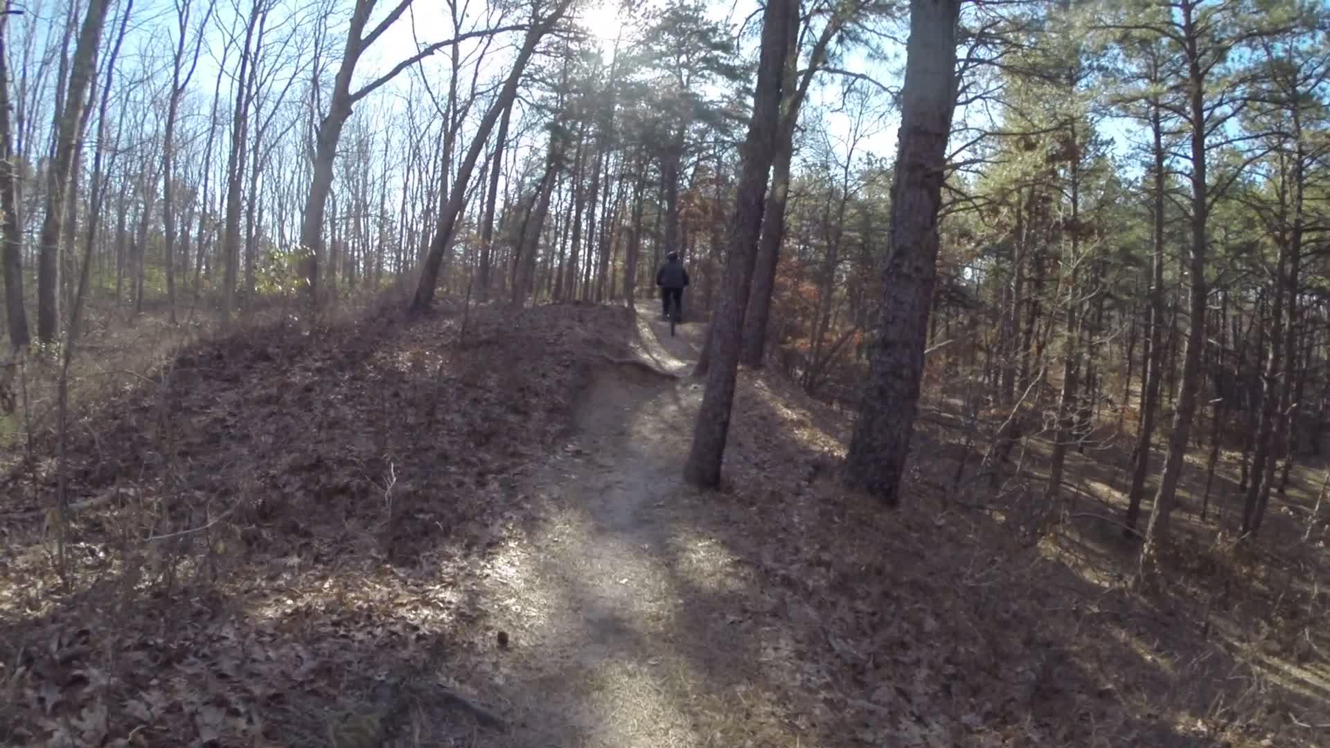 A person walking along a winding dirt trail through a wooded area, surrounded by tall trees and scattered autumn leaves. The sun is shining, casting soft light through the branches. Allaire State Park mountain bike trail.