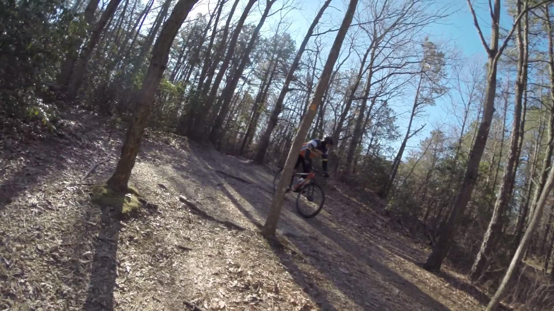 A mountain biker navigating a wooded trail in a sunlit forest, surrounded by trees and fallen leaves. The cyclist is wearing a helmet and biking gear, captured mid-ride. Allaire State Park mountain bike trail.