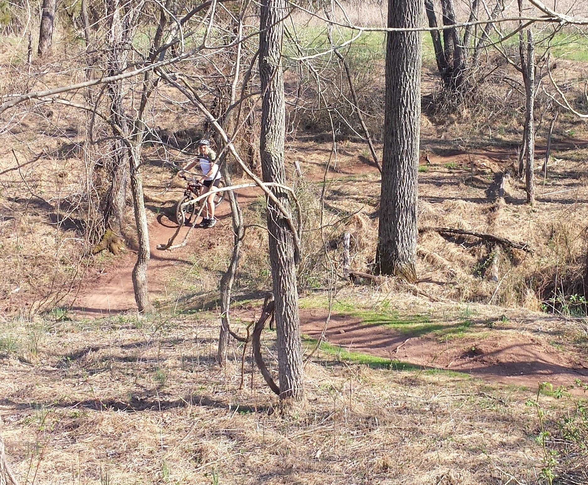 A person riding a mountain bike along a dirt trail surrounded by trees and sparse vegetation in a wooded area. The scene captures a natural outdoor environment with a mix of brown earth and green grass. Six Mile Run mountain bike trail.