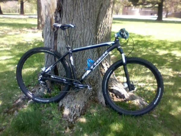 Trek Mamba Gary Fisher: A black mountain bike leaning against a tree in a grassy park setting. The bike features thick tires and a blue water bottle attached to the frame. Soft sunlight filters through the surrounding trees.