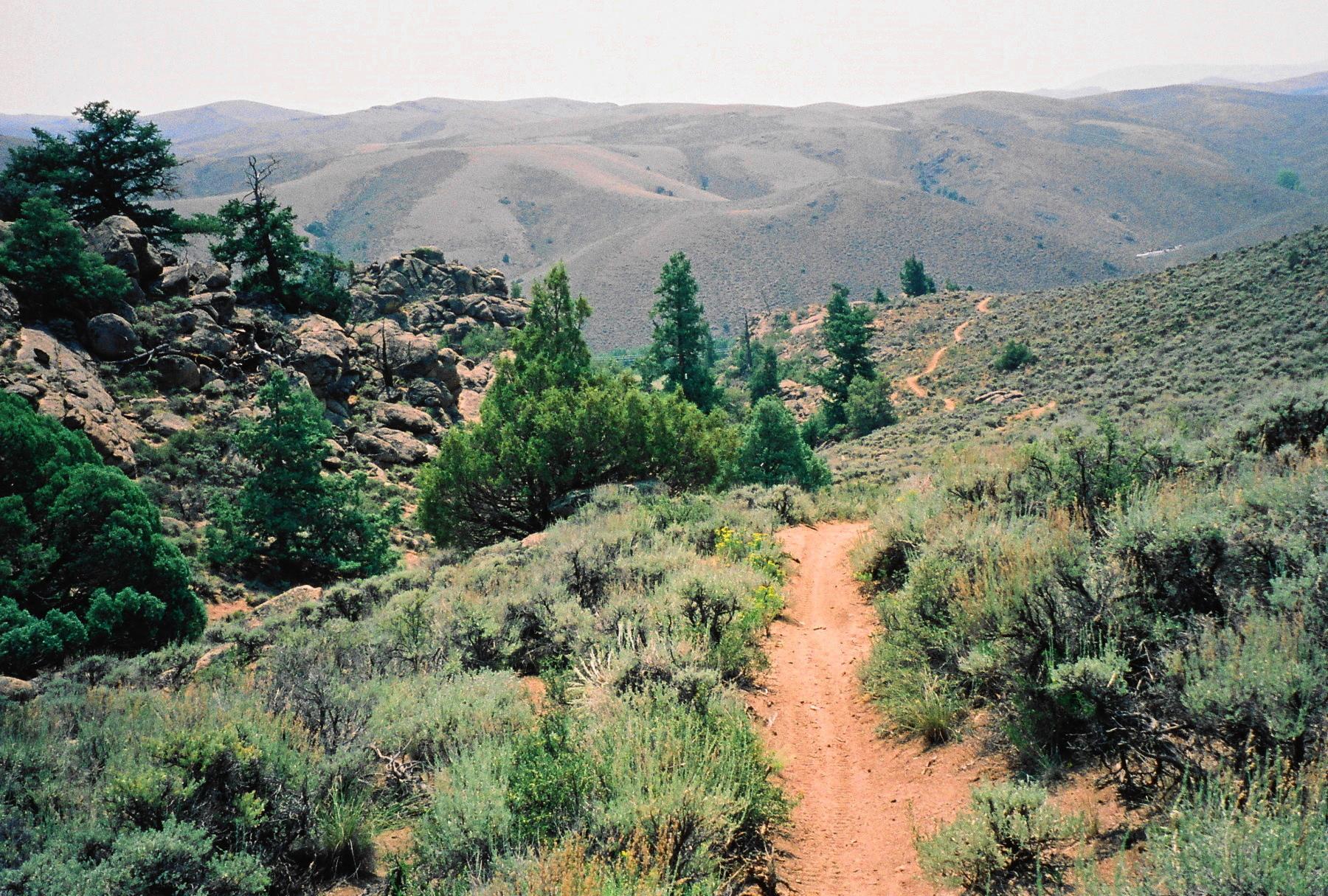 A winding dirt path meanders through a rugged landscape of rolling hills and rocky outcrops, dotted with green shrubs and coniferous trees under a hazy sky. Hartman Rocks mountain bike trail.