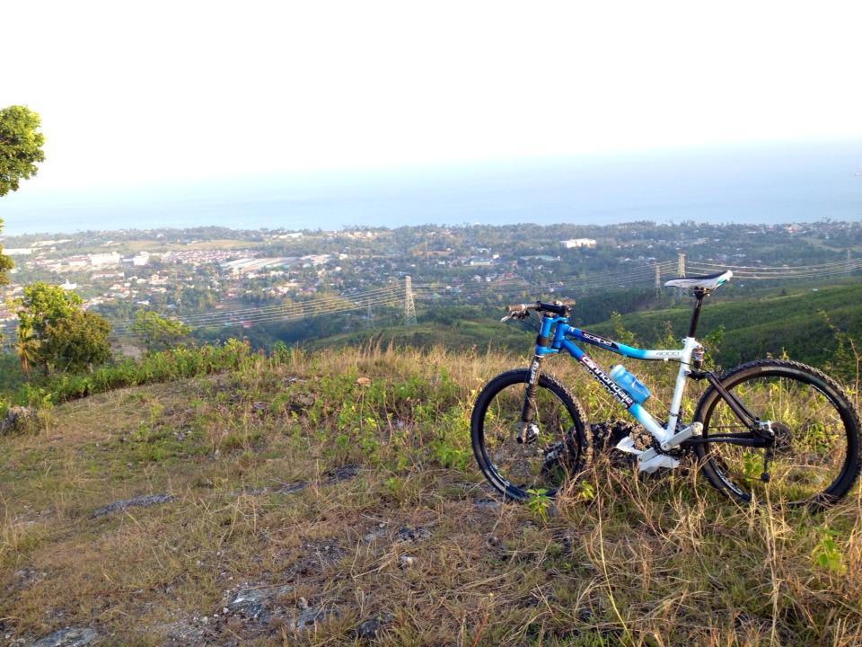 Cannondale Scalpel: A mountain bike rests on a grassy hilltop, overlooking a scenic landscape that includes a view of a coastal city, distant hills, and a clear blue sky. The vibrant colors of the bike contrast with the natural surroundings, creating a picturesque setting for outdoor adventure.