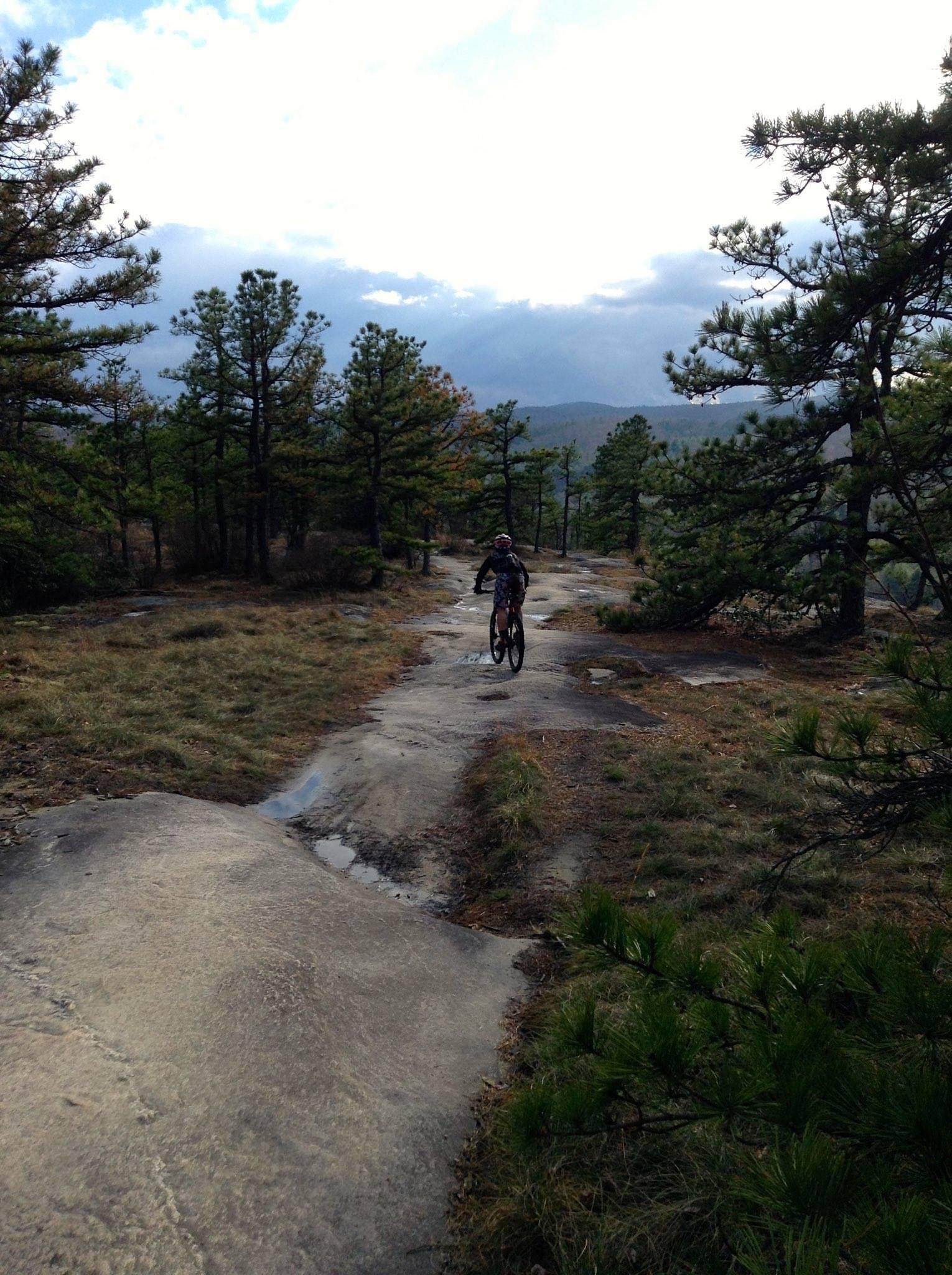 A mountain biker riding along a rocky trail surrounded by pine trees, with a cloudy sky in the background and distant mountains visible. DuPont State Recreational Forest mountain bike trail.