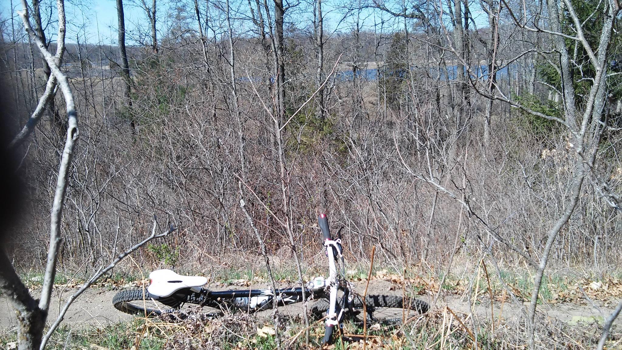 A mountain bike resting on a dirt trail surrounded by bare trees and underbrush, with a lake visible in the background. The scene captures a serene outdoor area on a clear day. Brighton Rec Area mountain bike trail.