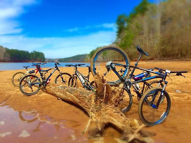 Scott Reflex 20: A group of mountain bikes leaning against a large fallen log on a sandy beach beside a calm river, with trees and a blue sky in the background.